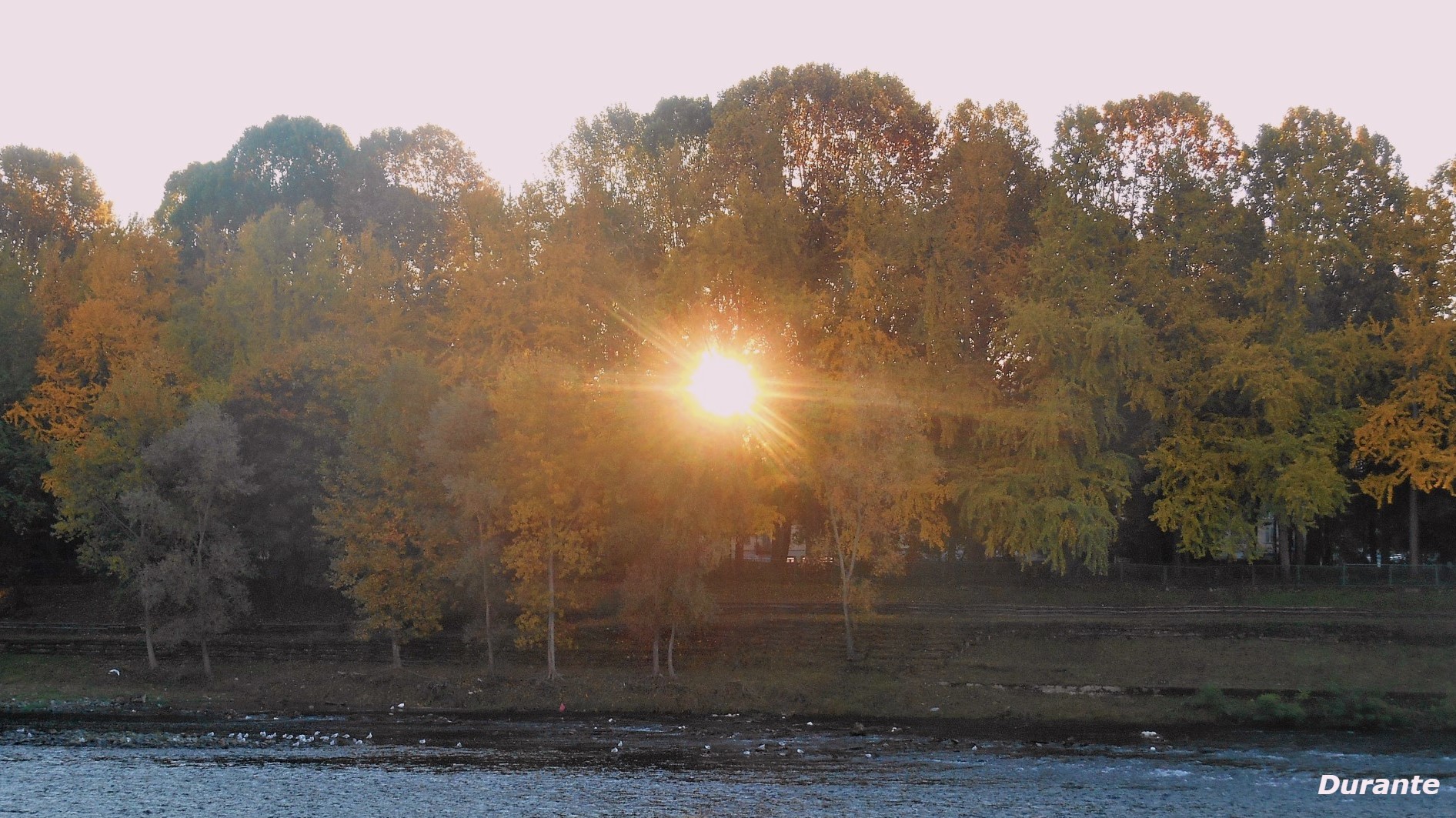 On The Roads di Torino | Torino - L'alba con i colori d'autunno lungo ...