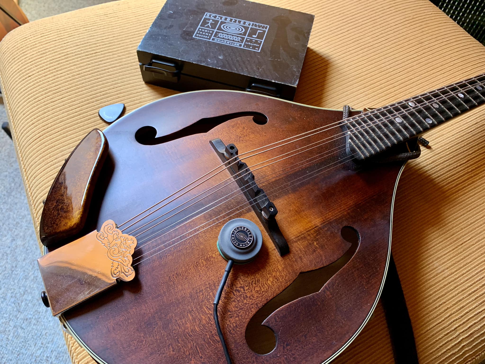 Schertler Dyn-M or K&K Twin for mandolin?