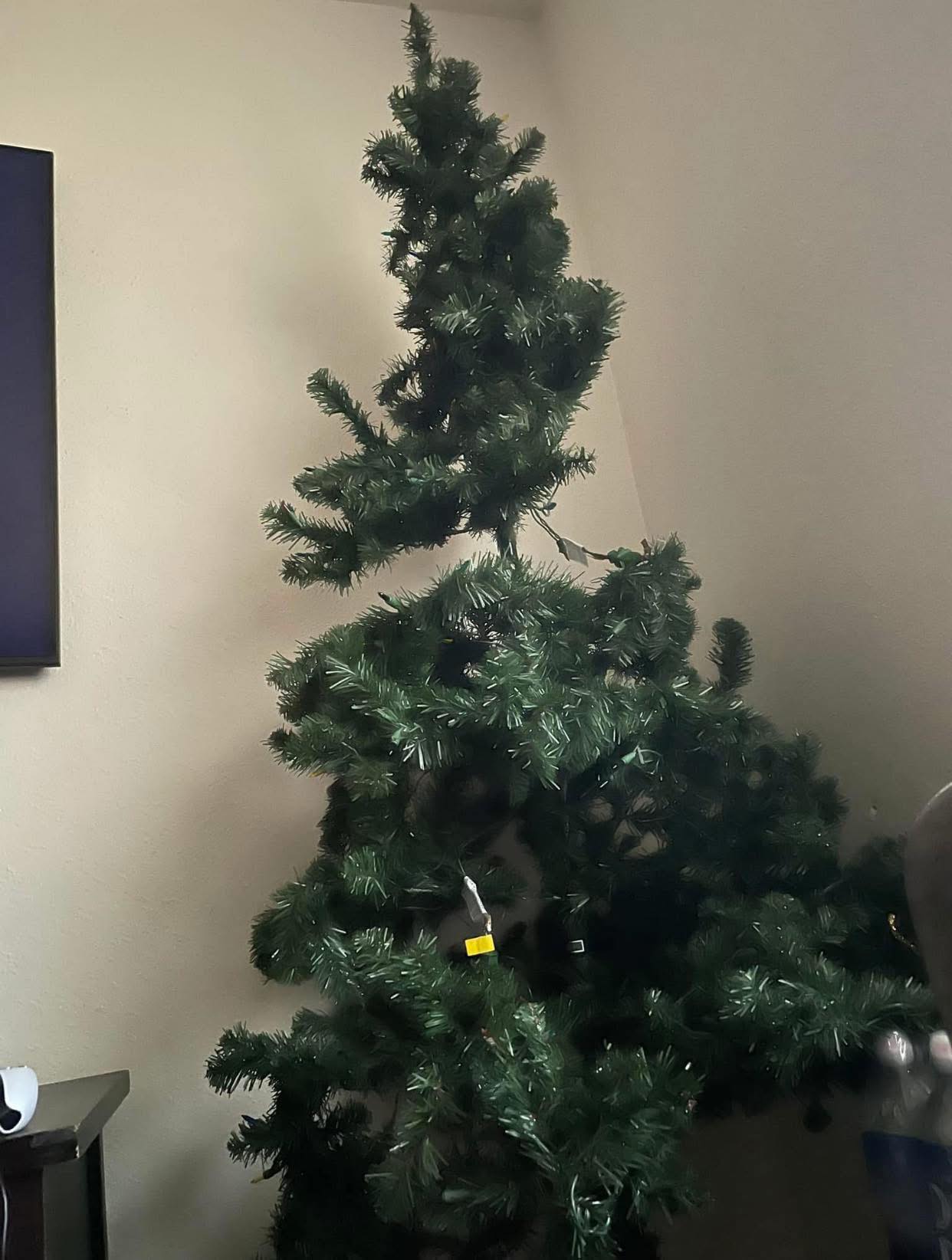 Tyrone - Family dollar sold me a BONELESS Christmas tree‼️ don’t buy no ...