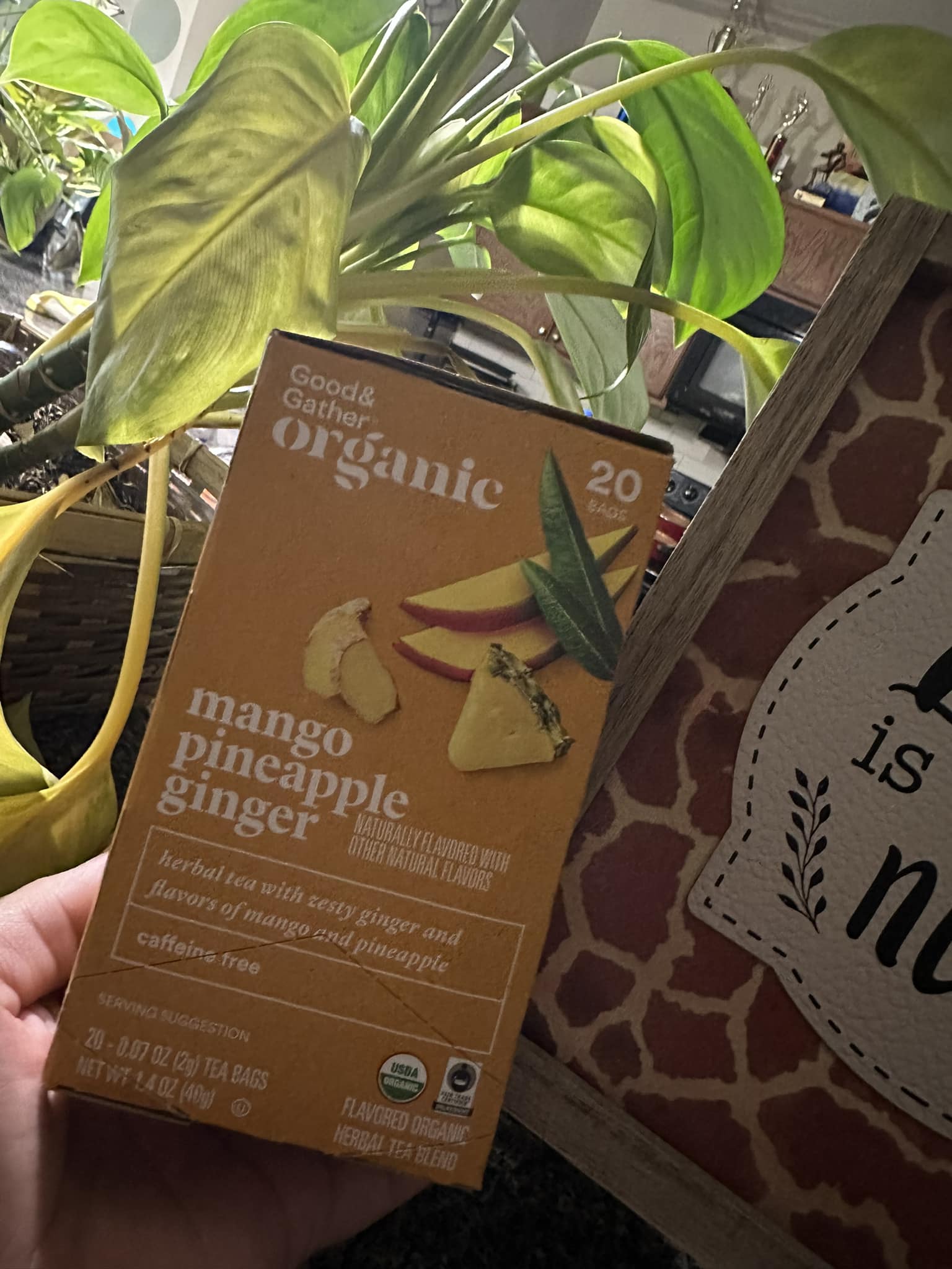 Xenns Mangird Tea Pro Se review