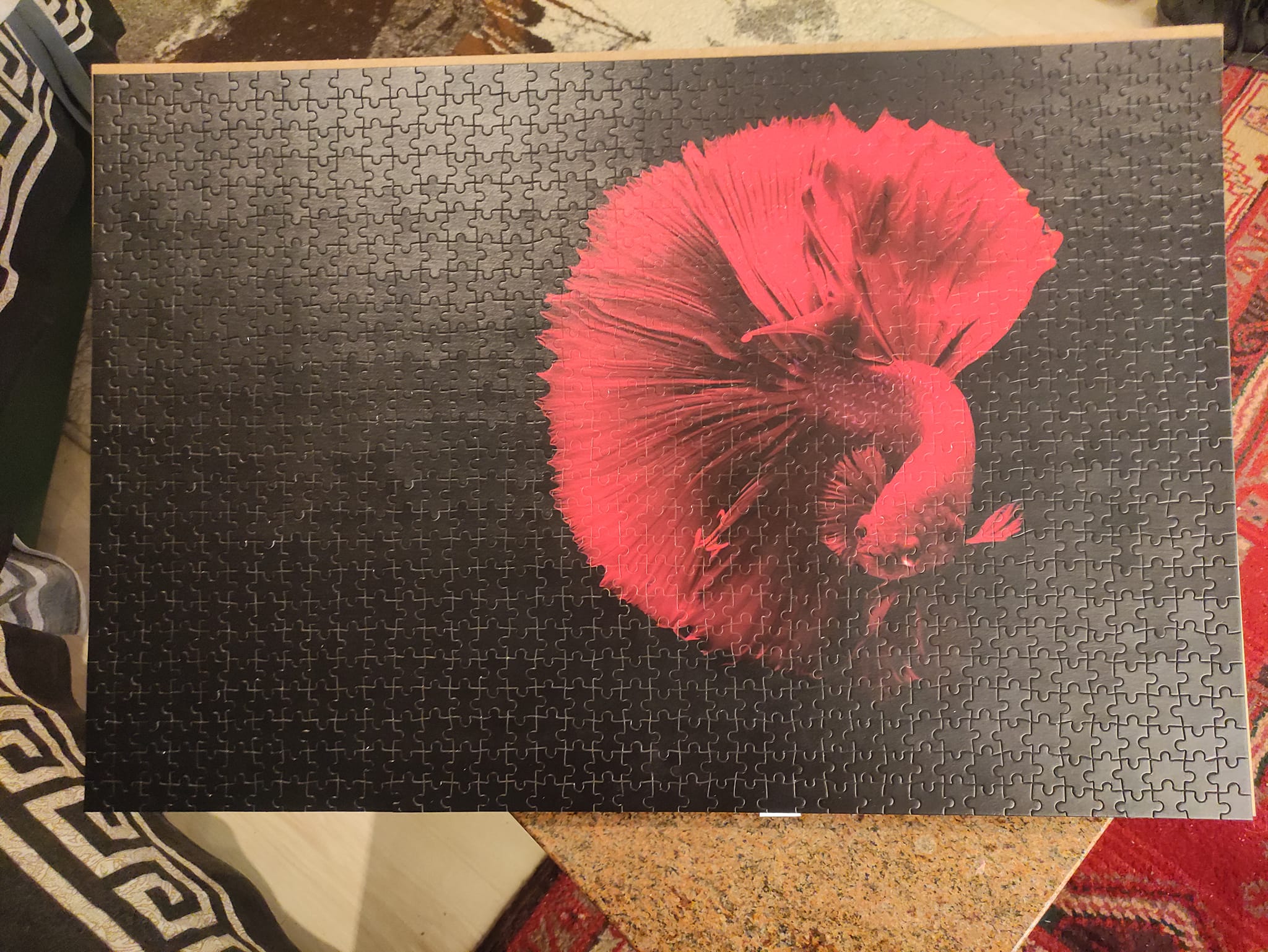 Imposible Puzzle, Rompecabezas 1000 Piezas para Adultos y Niños-Gato, atigrado, Negro 70x50cm