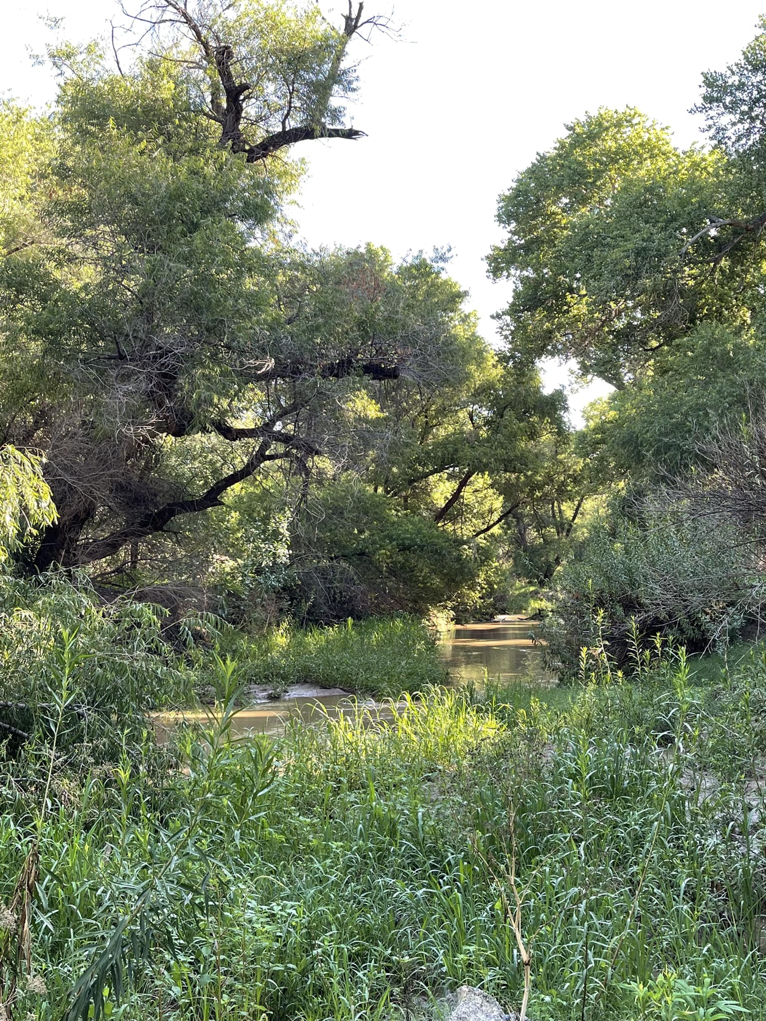 Finally, the Santa Cruz River is flowing in Tubac. More monsoon please! Friends of the Santa Cruz River Tucson Bird Alliance Tubac, Arizona Chamber of Commerce