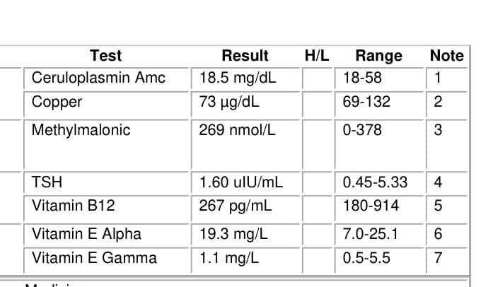 Can B12 deficiency cause all-day muscle twitches?