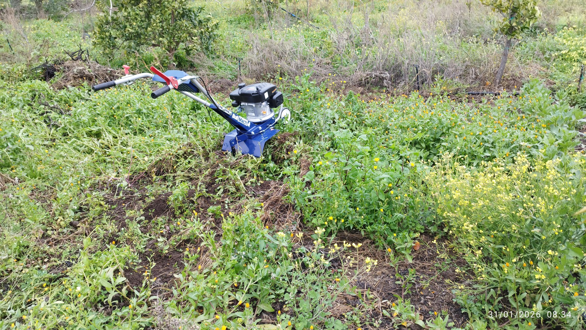 Passione Orto | Oggi ho provato un nuovo giocattolino per l'orto | Facebook