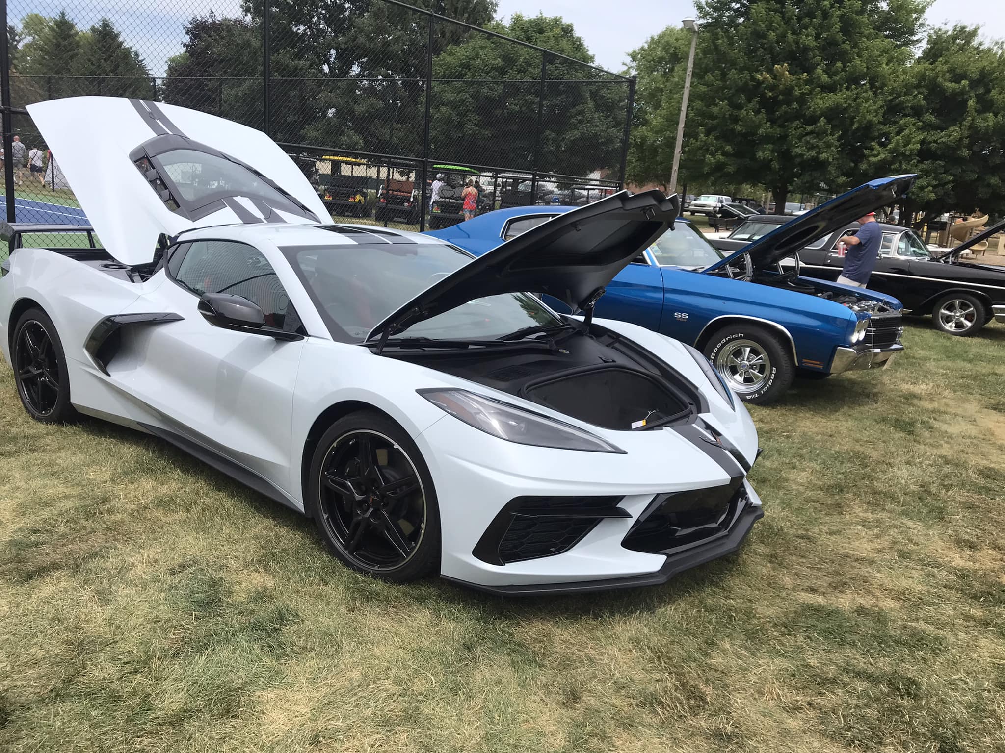 Gloss black 5VM side skirts with carbon flash accents?