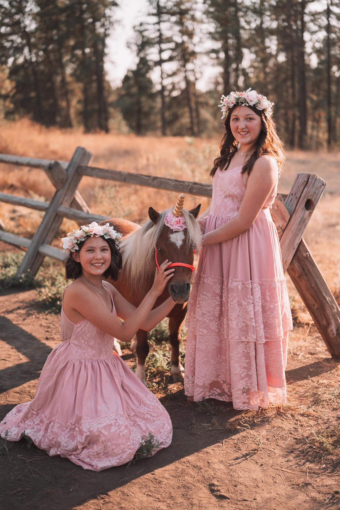 Storybook Farm Ponies | Spokane WA
