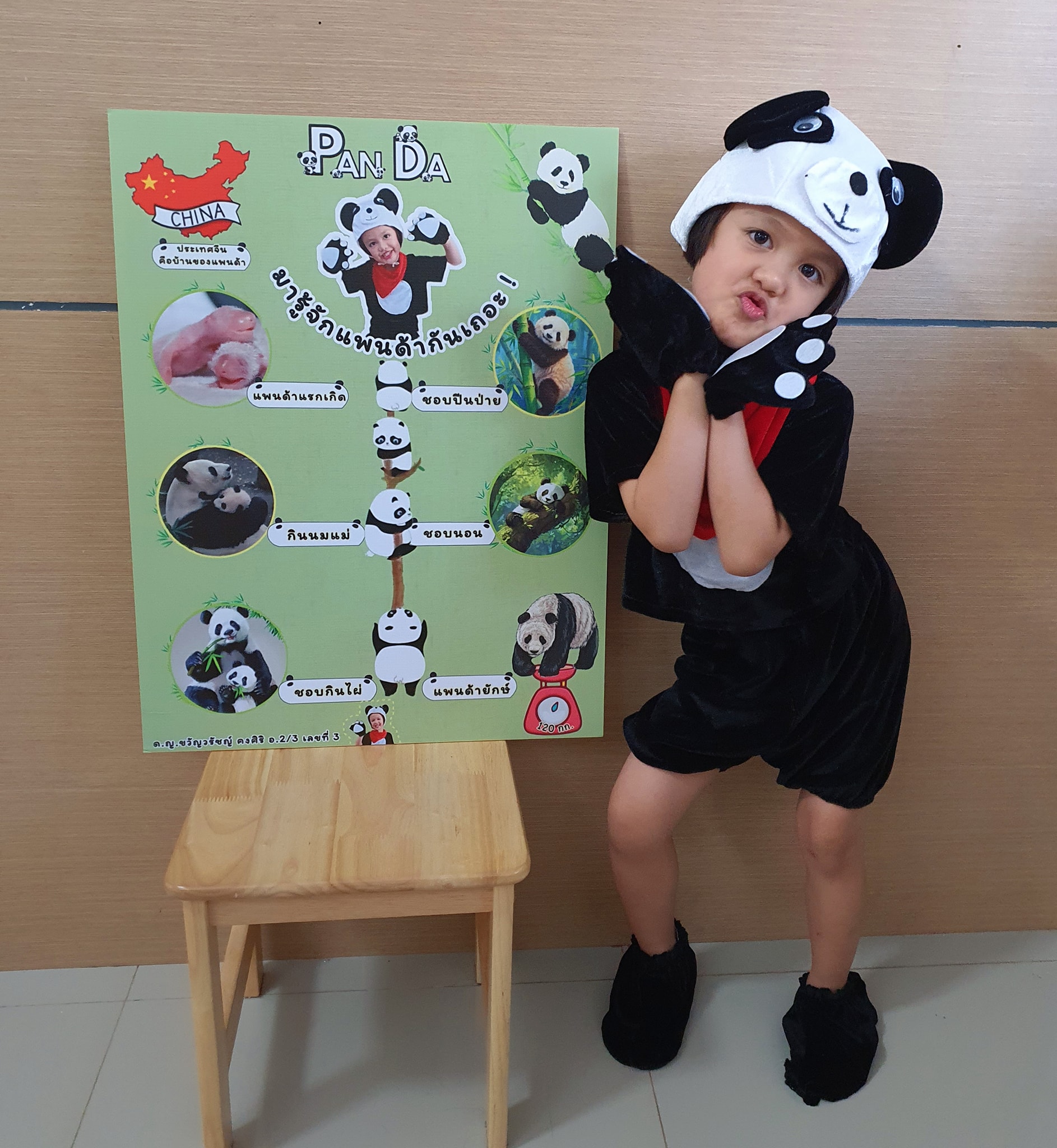 June - 🥳 Project Approach ของชีลิ ปีนี้! มาด้วยหัวข้อ “Panda” 🐼🎋🐼🎋🐼 ...