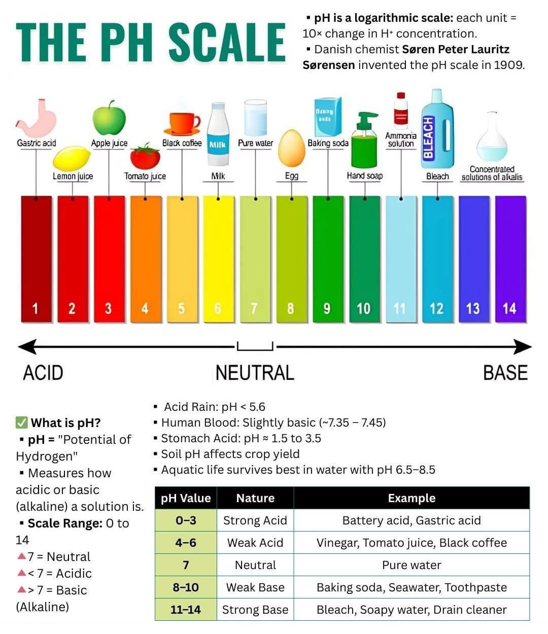Understanding the pH Scale A simple overview of acidity and basicity from 0–14 with examples like lemon juice, pure water, soap, and sodium hydroxide. #PHScale #ChemistryEducation #AcidsAndBases #ScienceLearning #STEMNotes