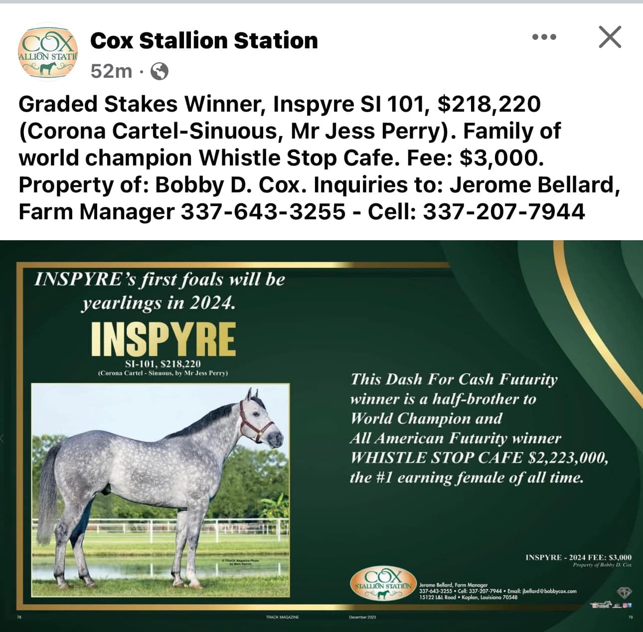 Wyzdom HR breeding dose available