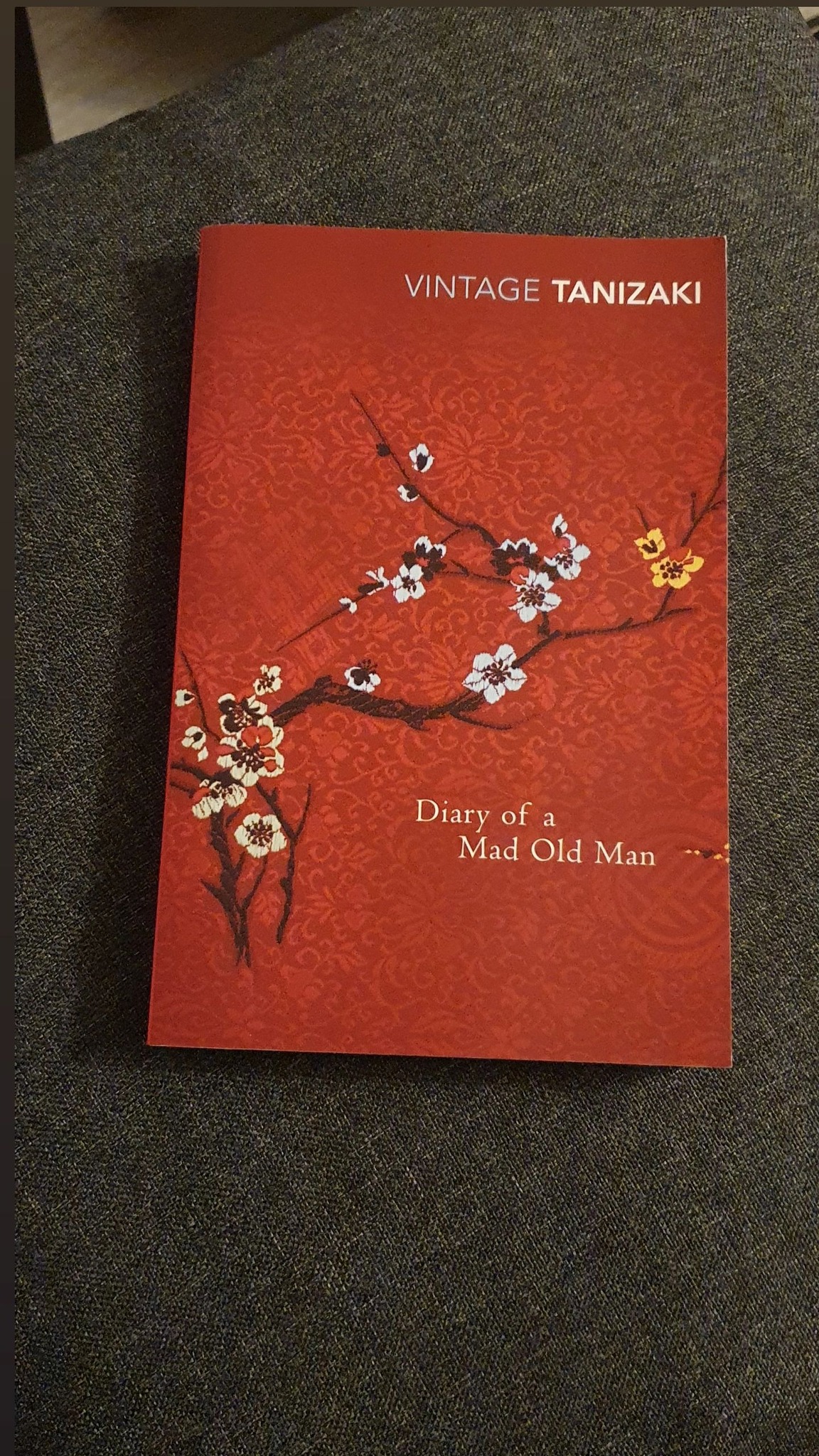 Review of Junichiro Tanizaki's Diary of a Mad Old Man