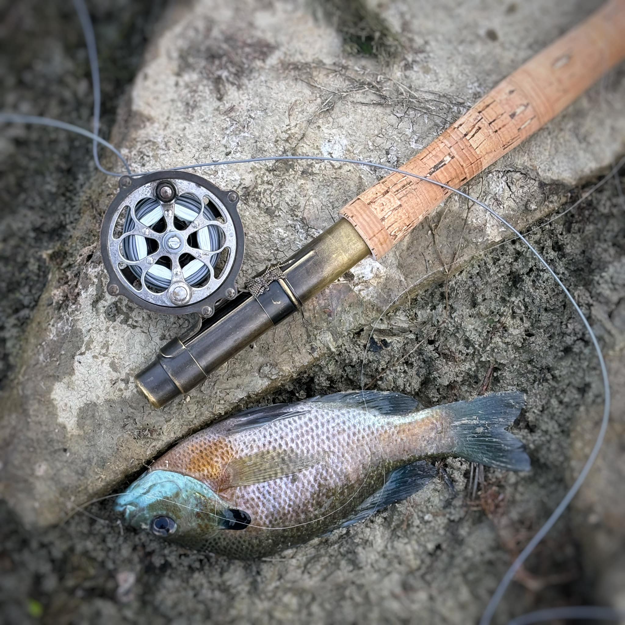 best fly reel for panfish Amazon Sellers: Best Fishing Reels Killer Panfish Flies: How to