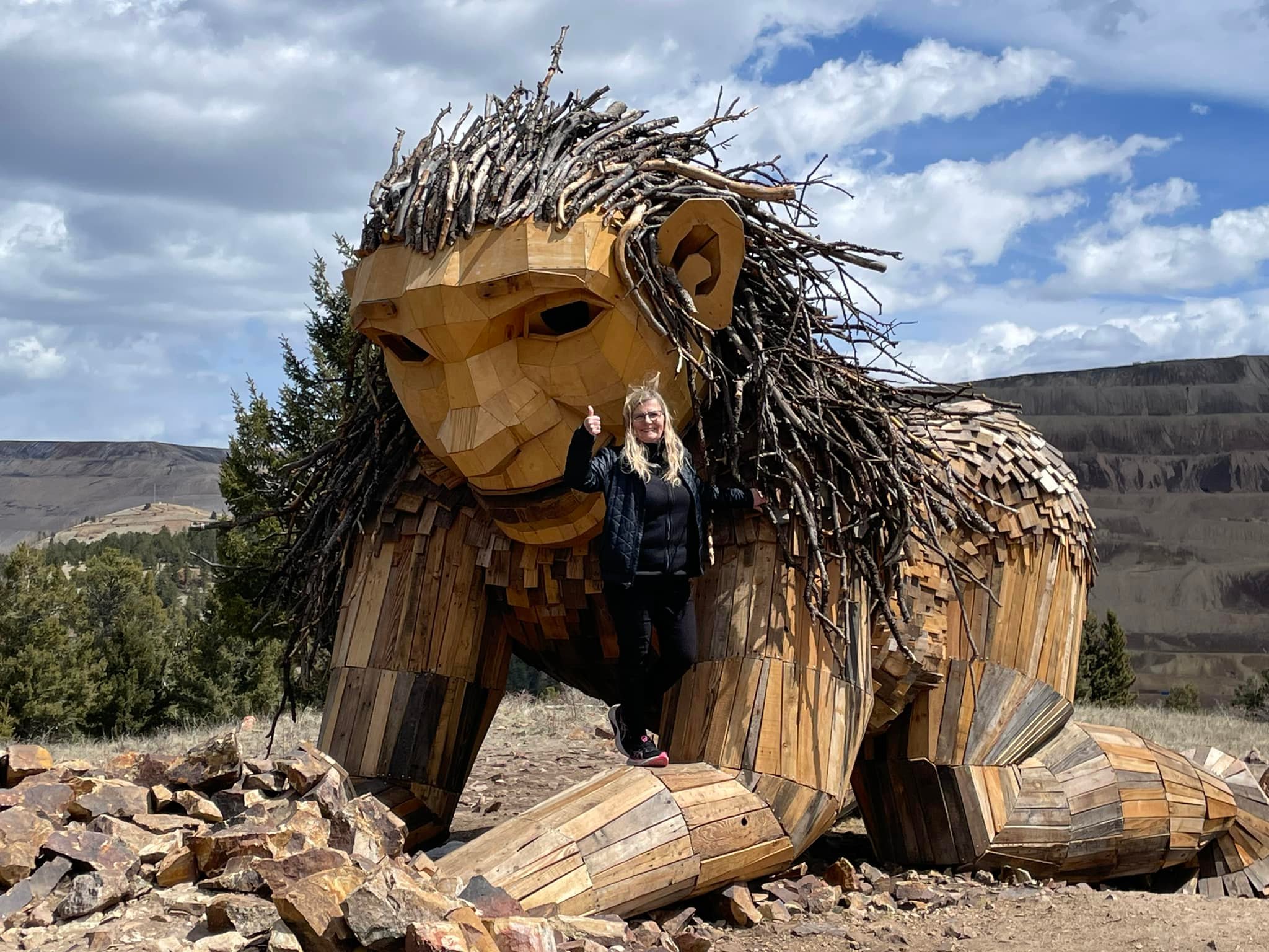 Rocky Mountain Woods Colorado 丸太　切株　小物入 Rita the rock in Colorado's Rocky Mountains
