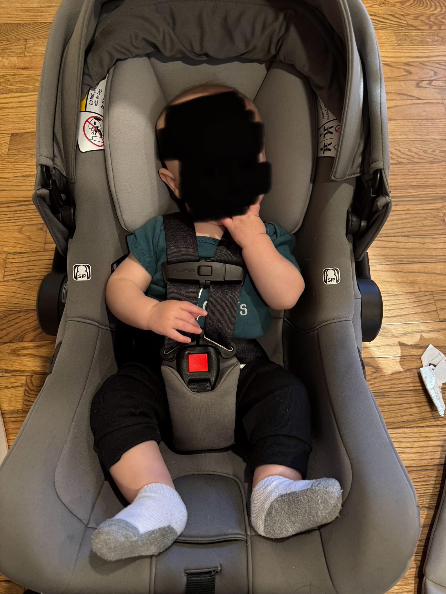 uppababy knox installation Rove Convertible Car Seat Style:Whale Trail Dockwalker Scorpion Master 52 LED