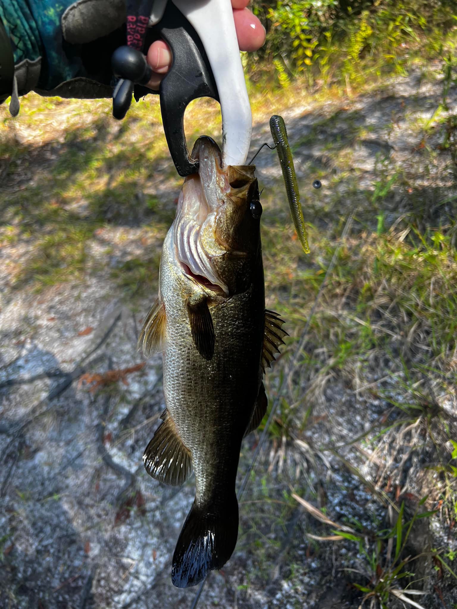 fish pond tackle bag accesories Fishpond Cutbank Gear Luhr Jensen Cherry Bobber, mullet run Model:CFE-662-MS designed details include an
