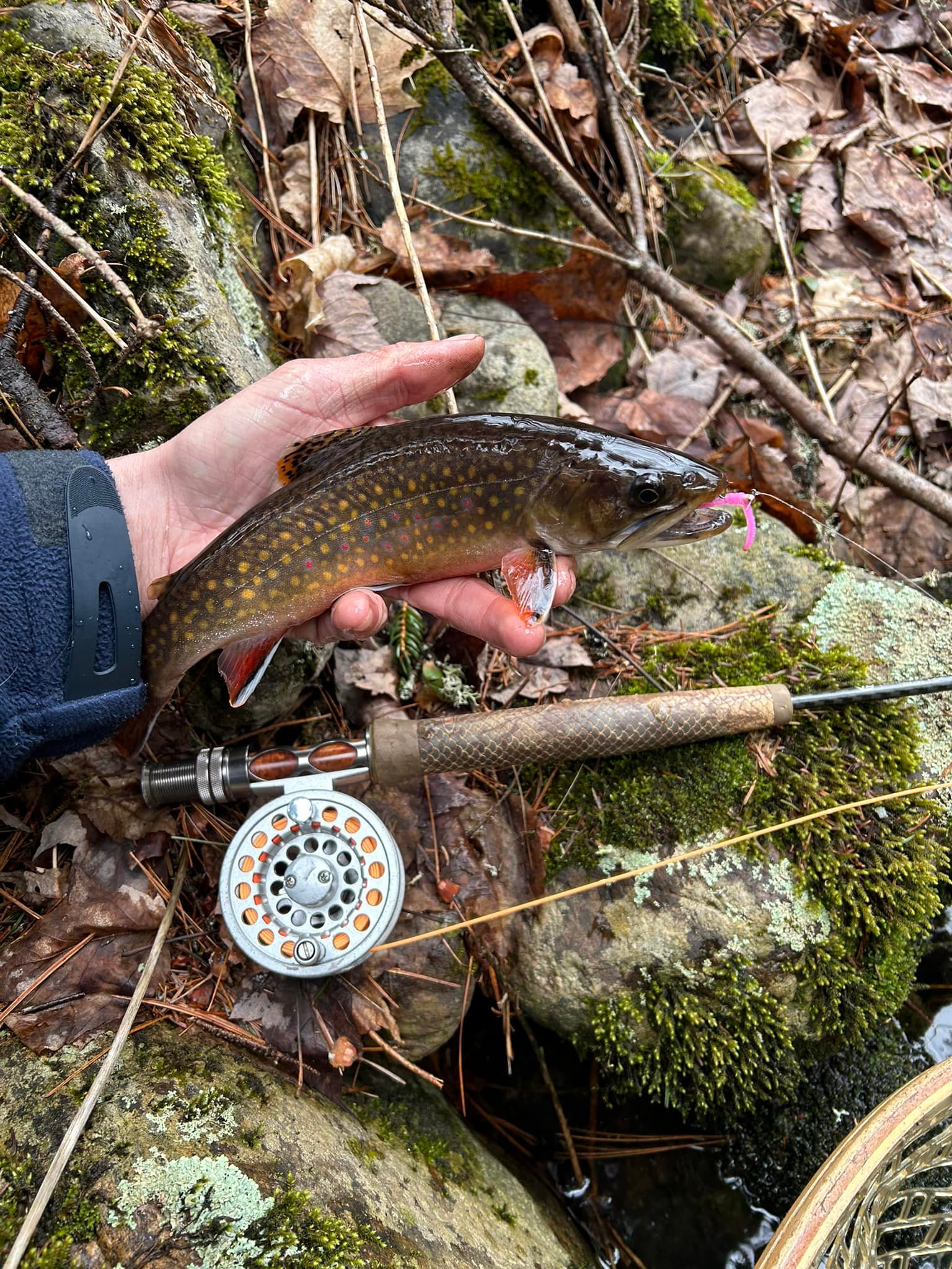 adirondack brook trout fishing rig lures  PAN Handmade UV Bad Frog LT23 Top Five Lure Presentations for