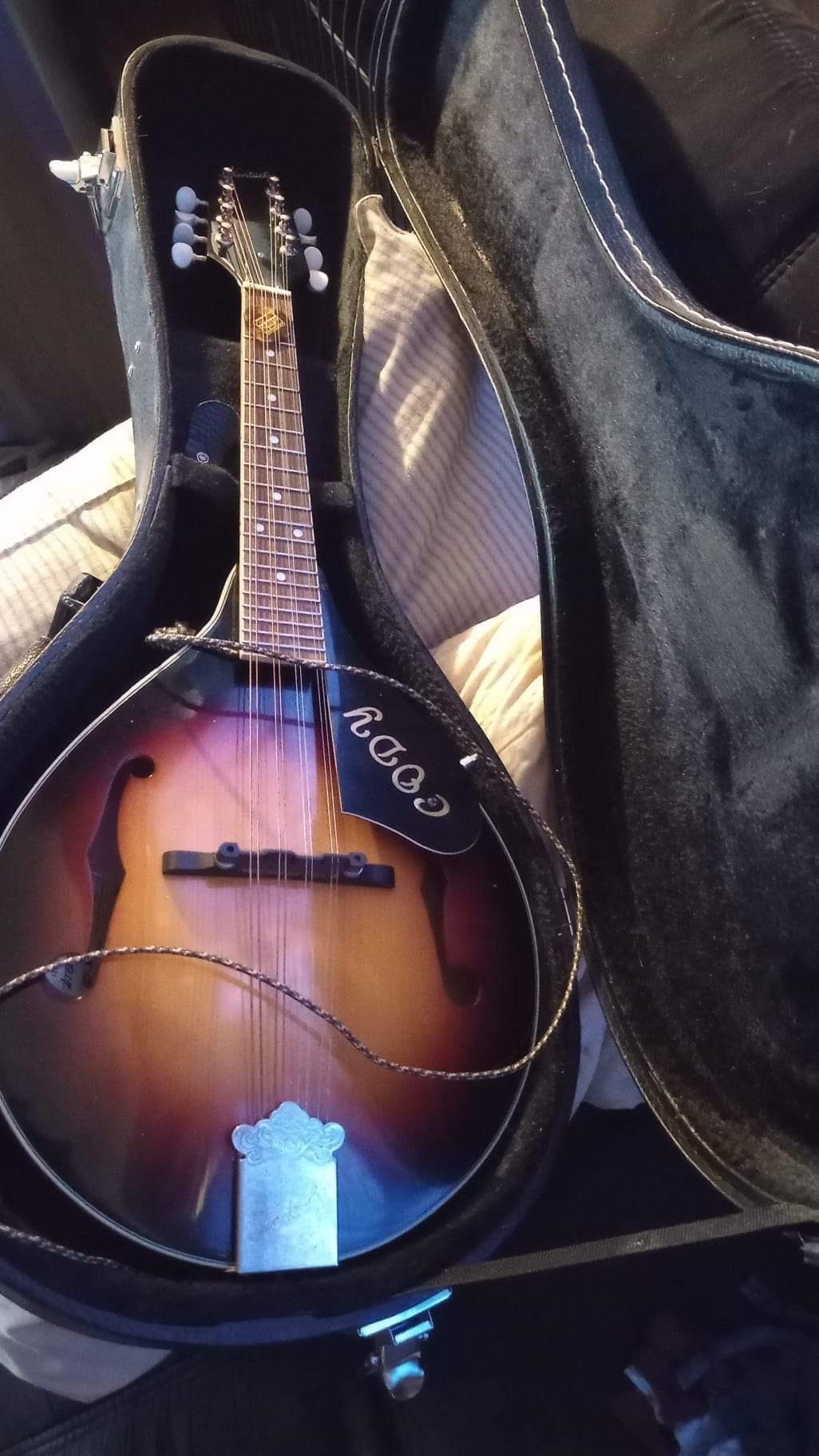 Is the Kentucky KM700 mandolin solid wood?