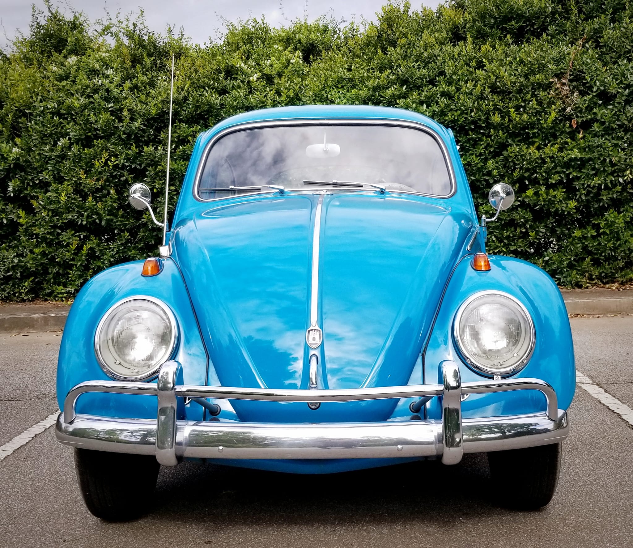 1962 Volkswagen Beetle's 61st birthday