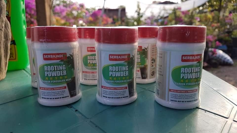 ️AVAILABLE ️ ROOTING POWDER... - Easterlyn Lozaga Bali | Facebook