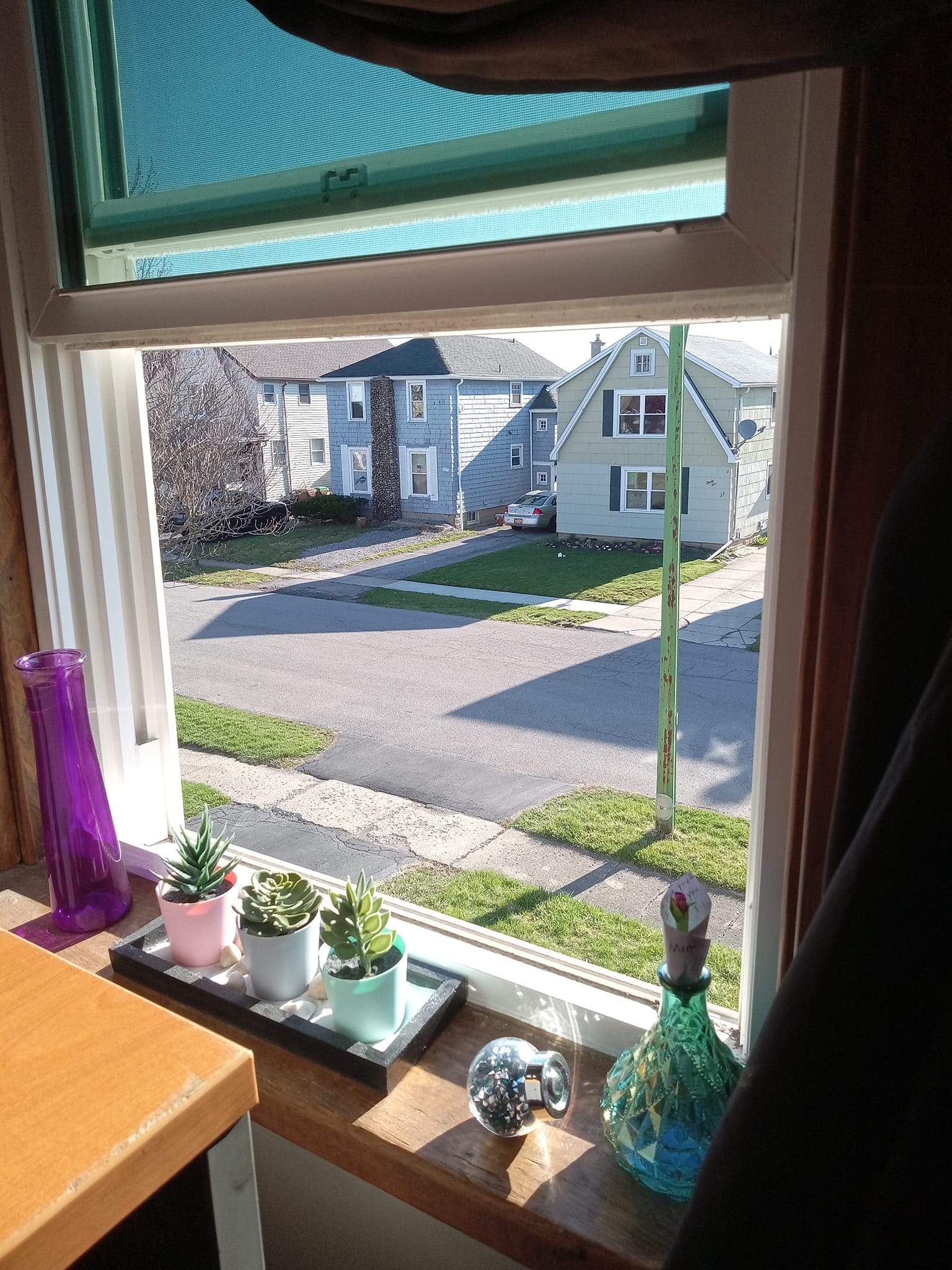 View from our 1907 bungalow in Buffalo, NY