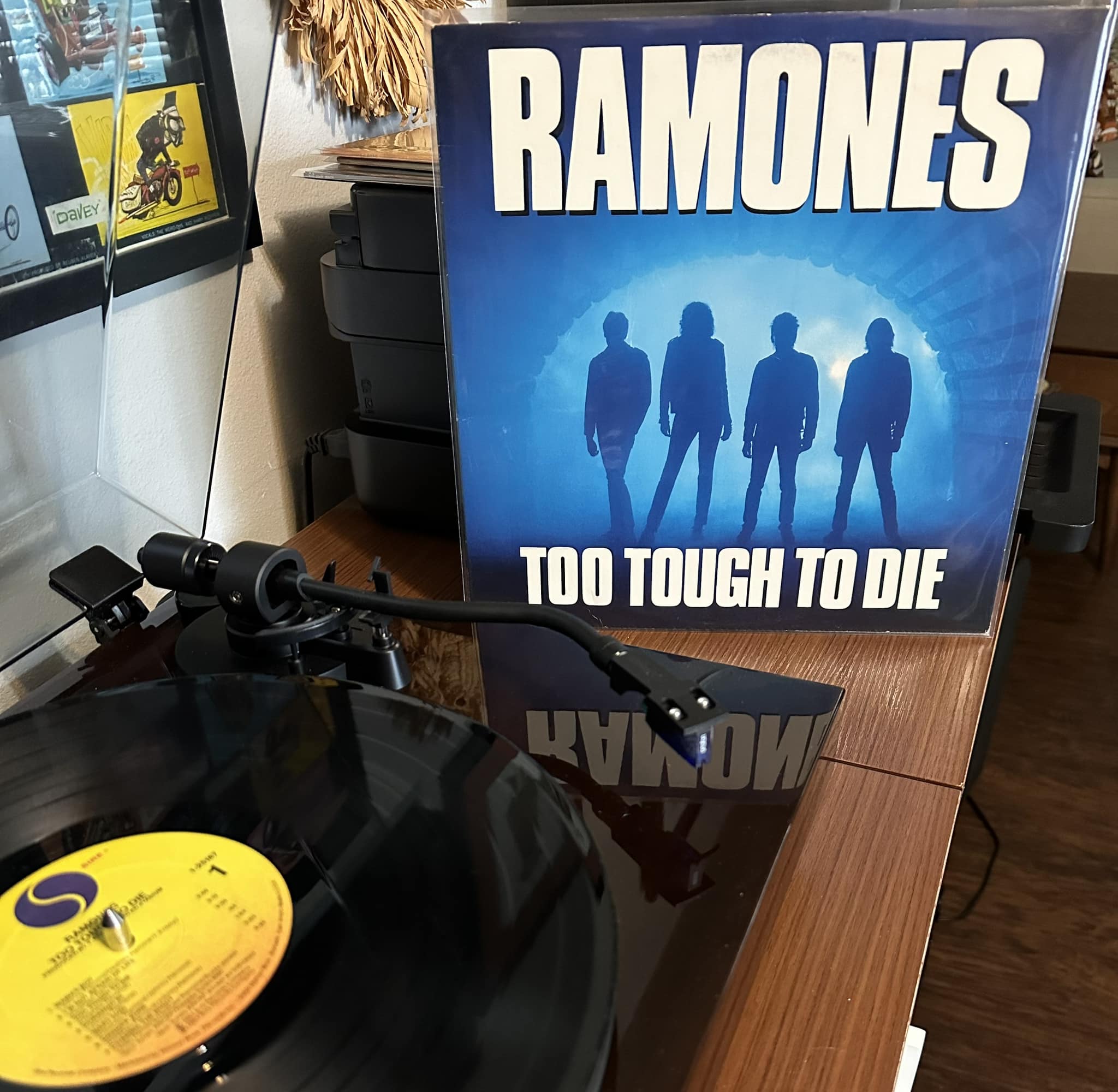 What record store did you first pick up 'Too Tough To Die' at