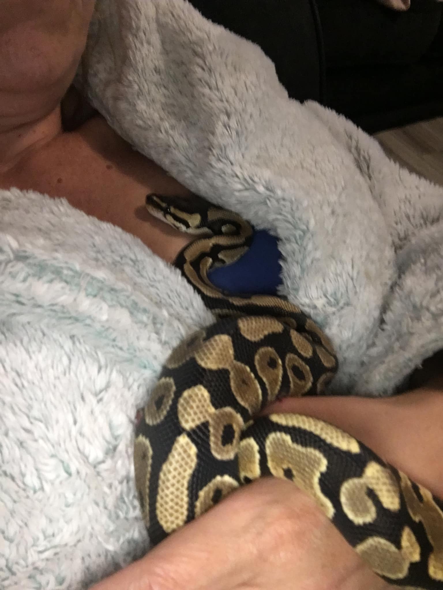 Porn Picture