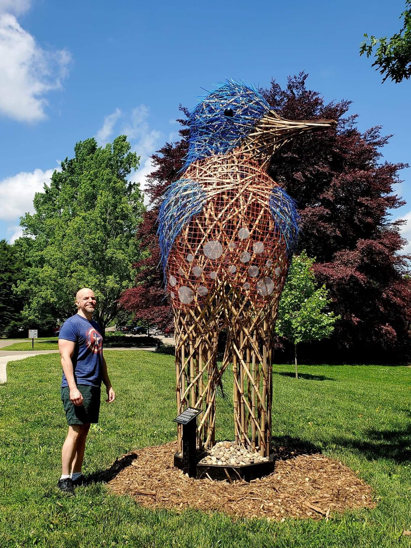 Dawes Arboretum features amazing bamboo bird sculptures