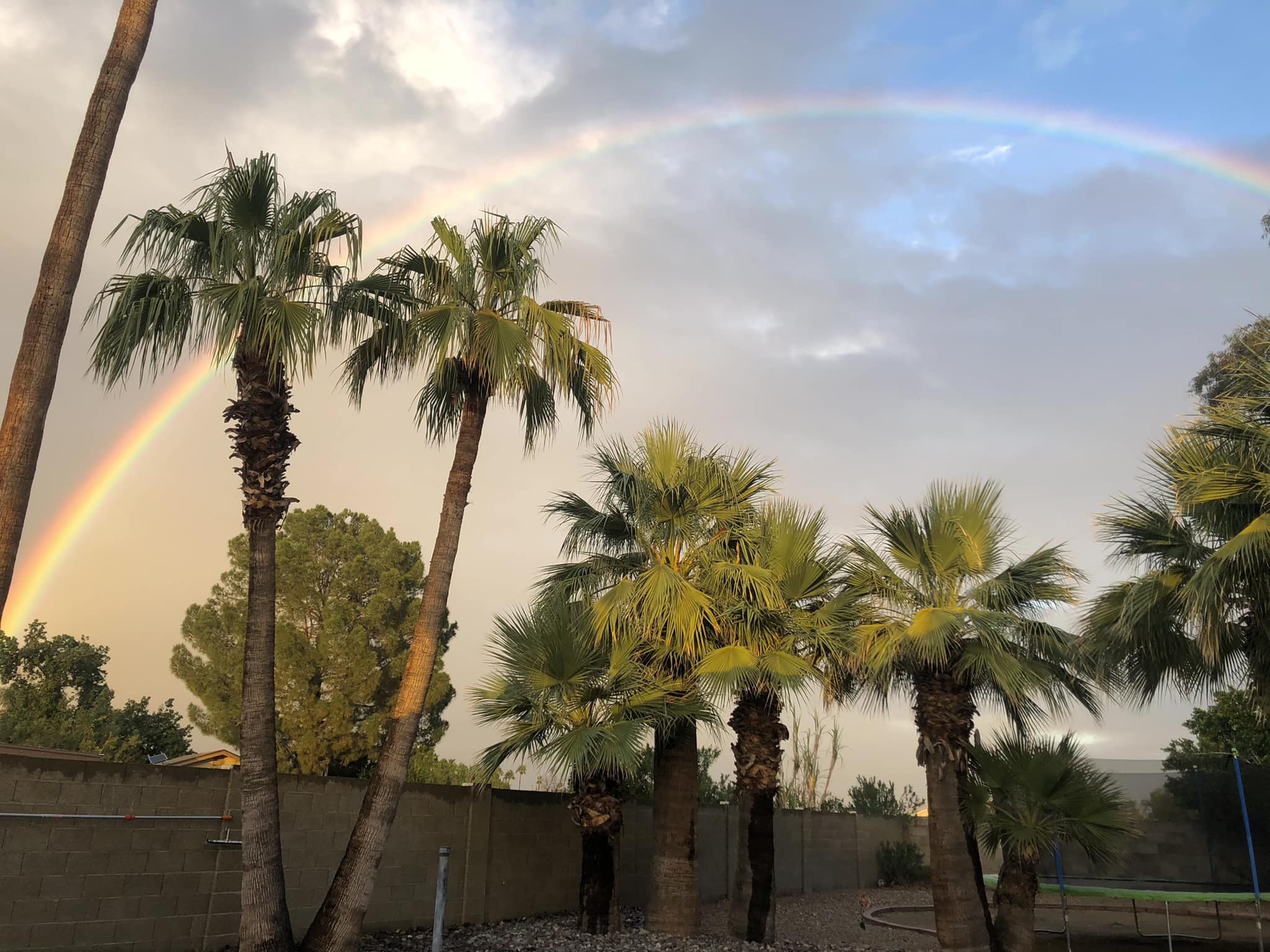 Crazy bright rainbow tonight over North Phoenix.🌵