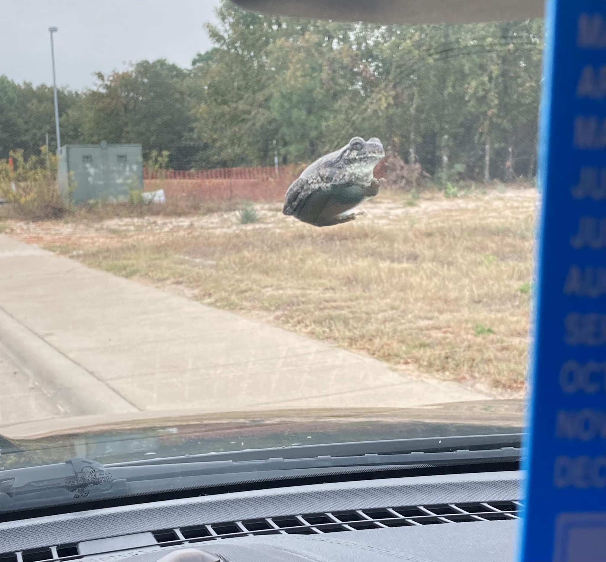 Accidents at Bull Frog Turn?