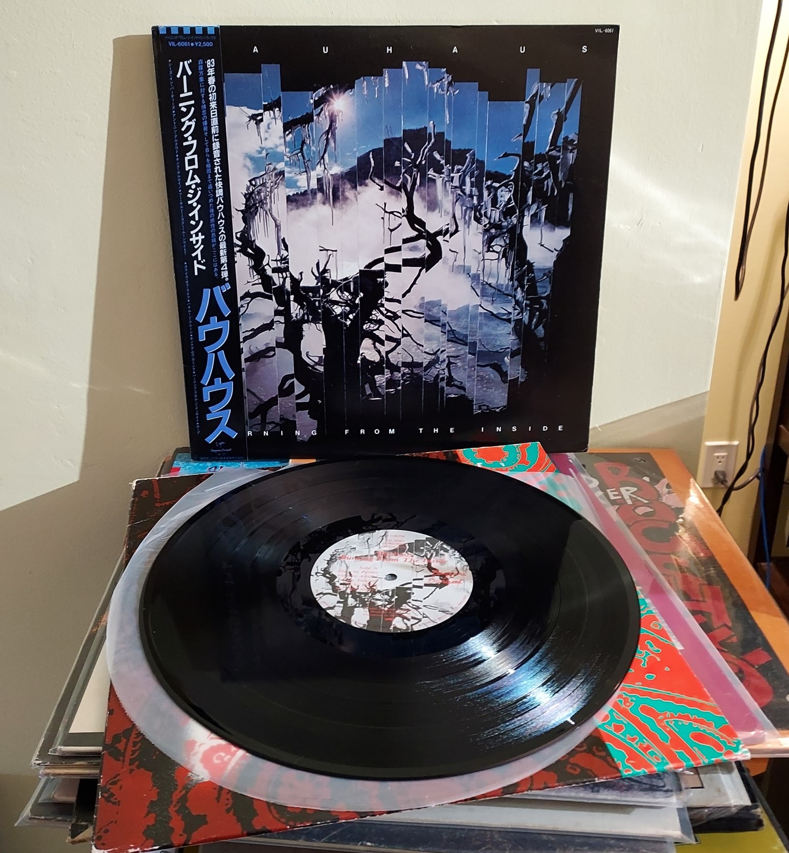 40 years ago today, Bauhaus released their compilation 