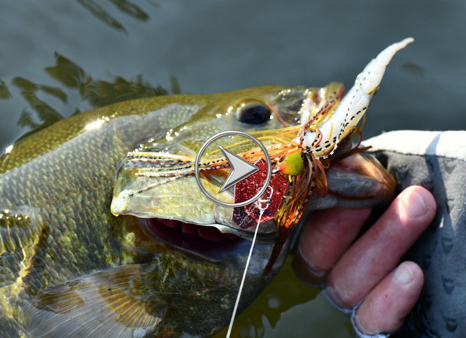 Z-Man CrossEyeZ Snakehead Swim Jig – Bass, Redfish, Snook Fishing Lure With 4/0 Hook 4 thumbnail image