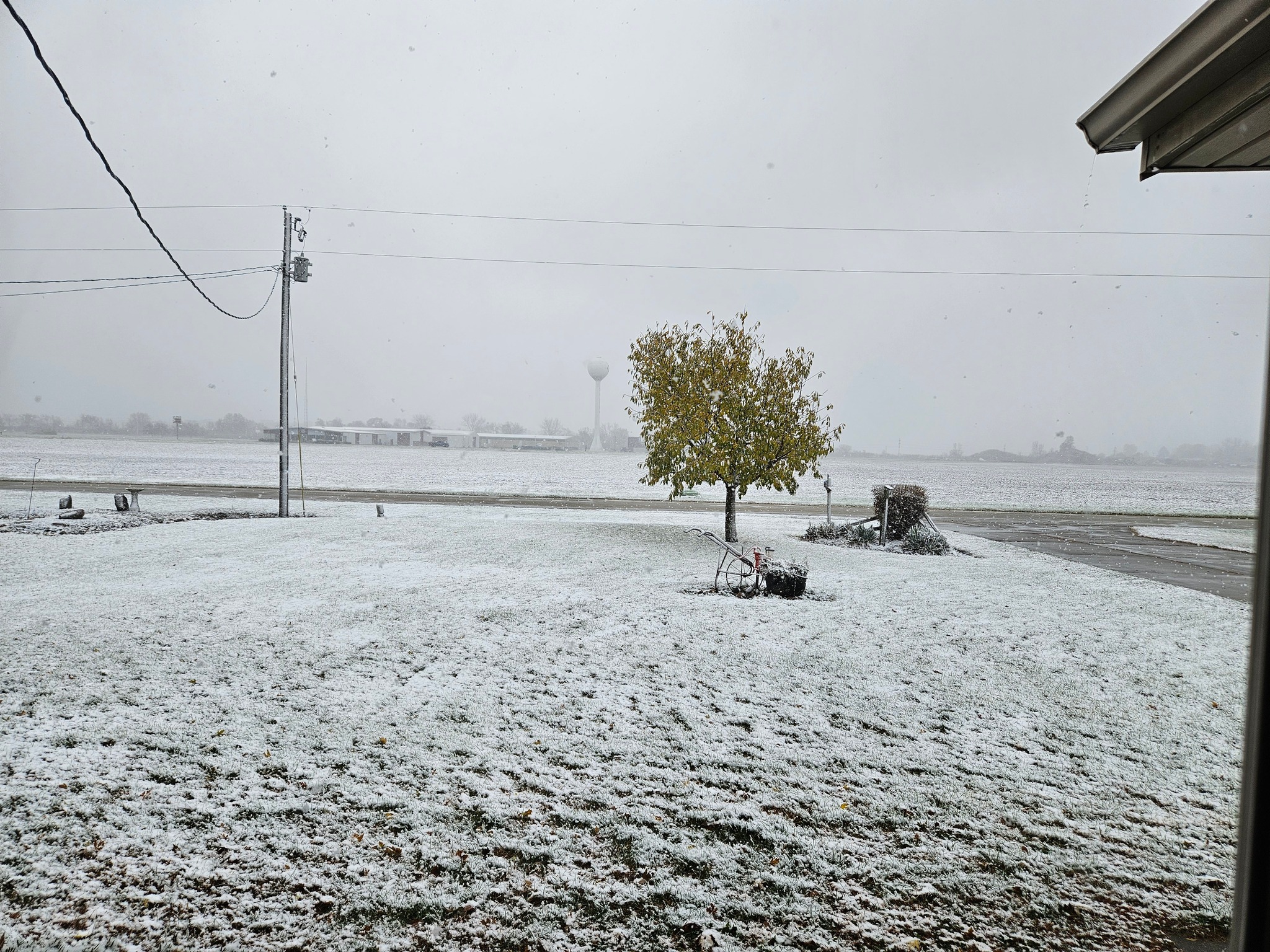 Watseka. 10am Sunday November 9. Magical