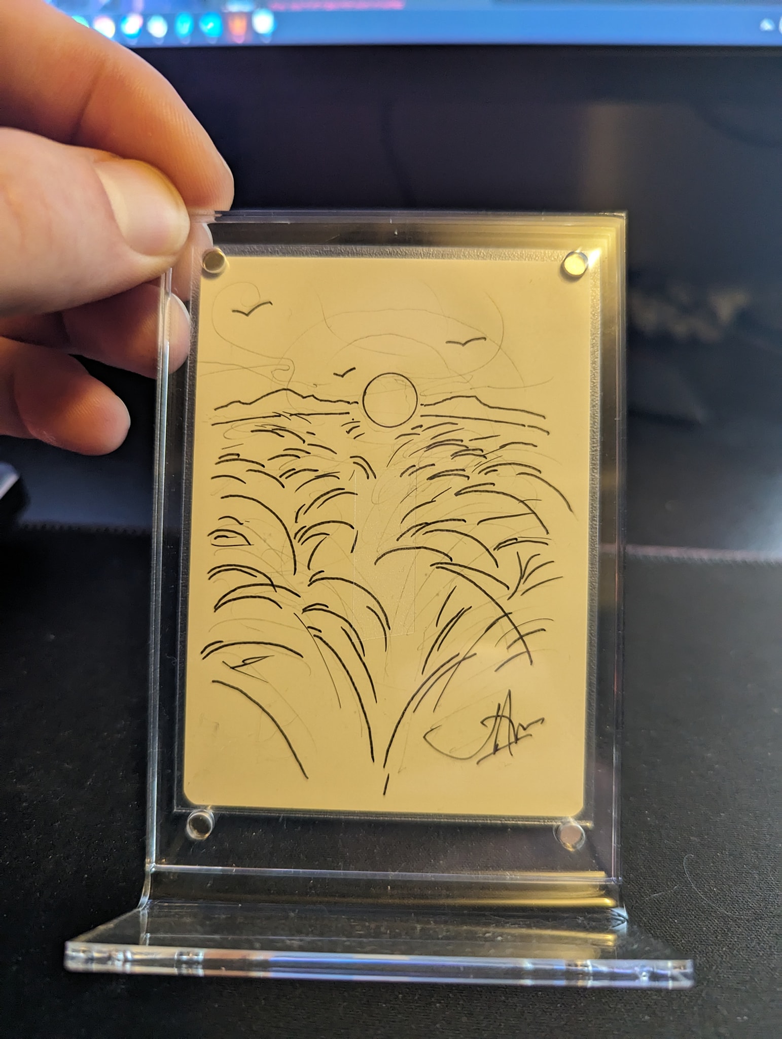 John Avon's Magic: The Gathering lands