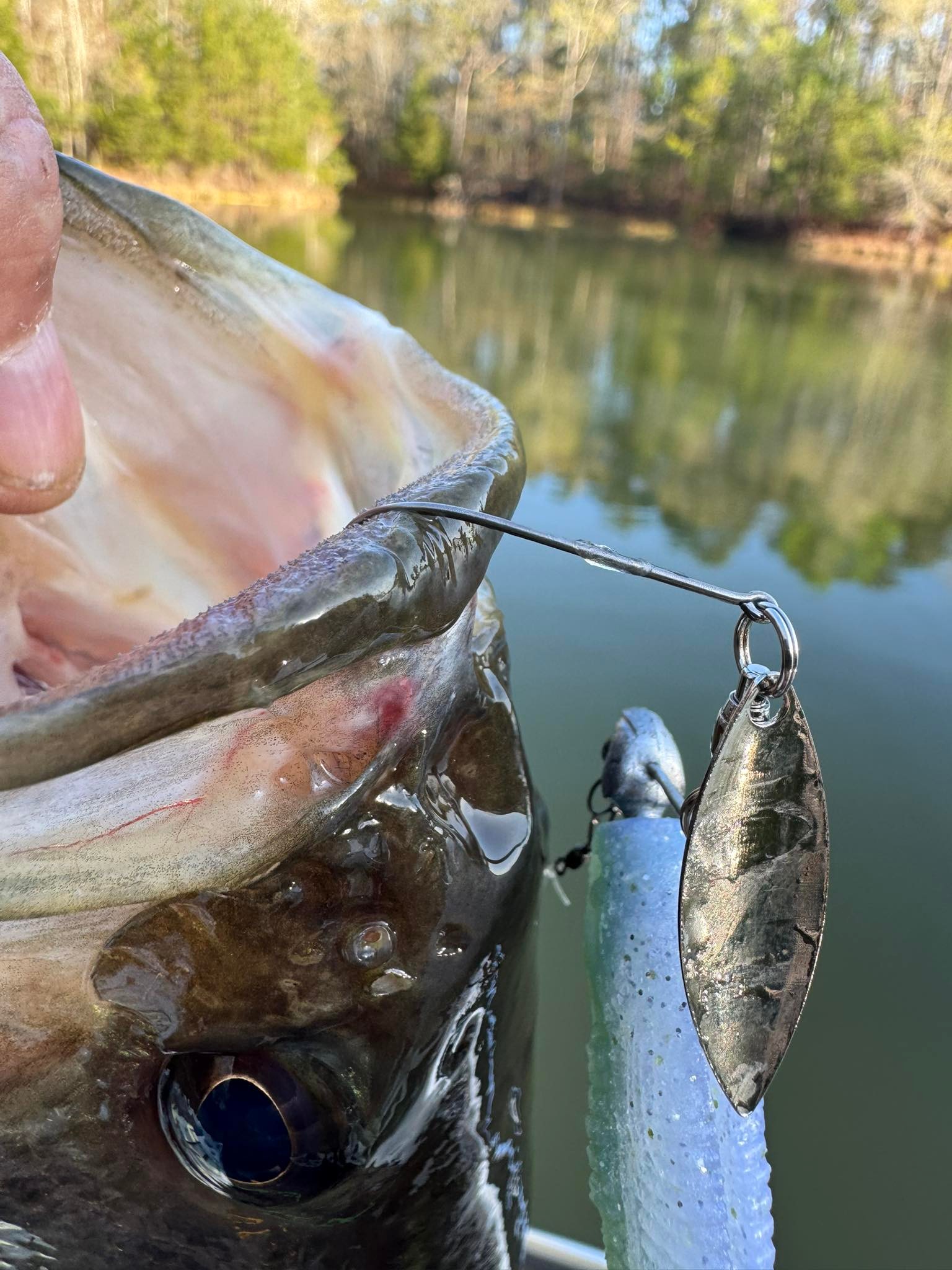 define fishing stinger hook Build a Better Stinger Rig