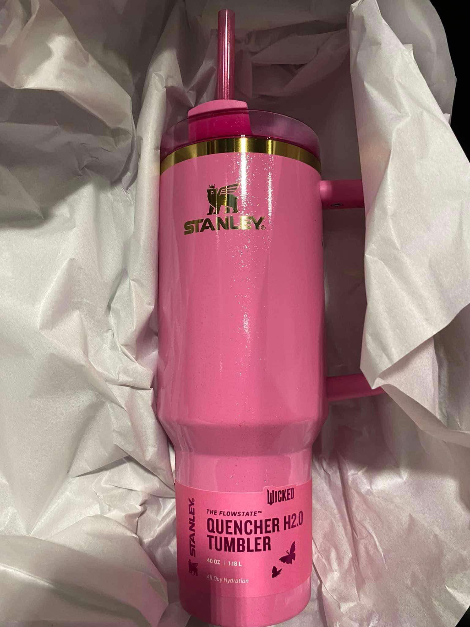 Coming to Target ? Stanley x Wicked Collab ?️ TBD- rumors state 
