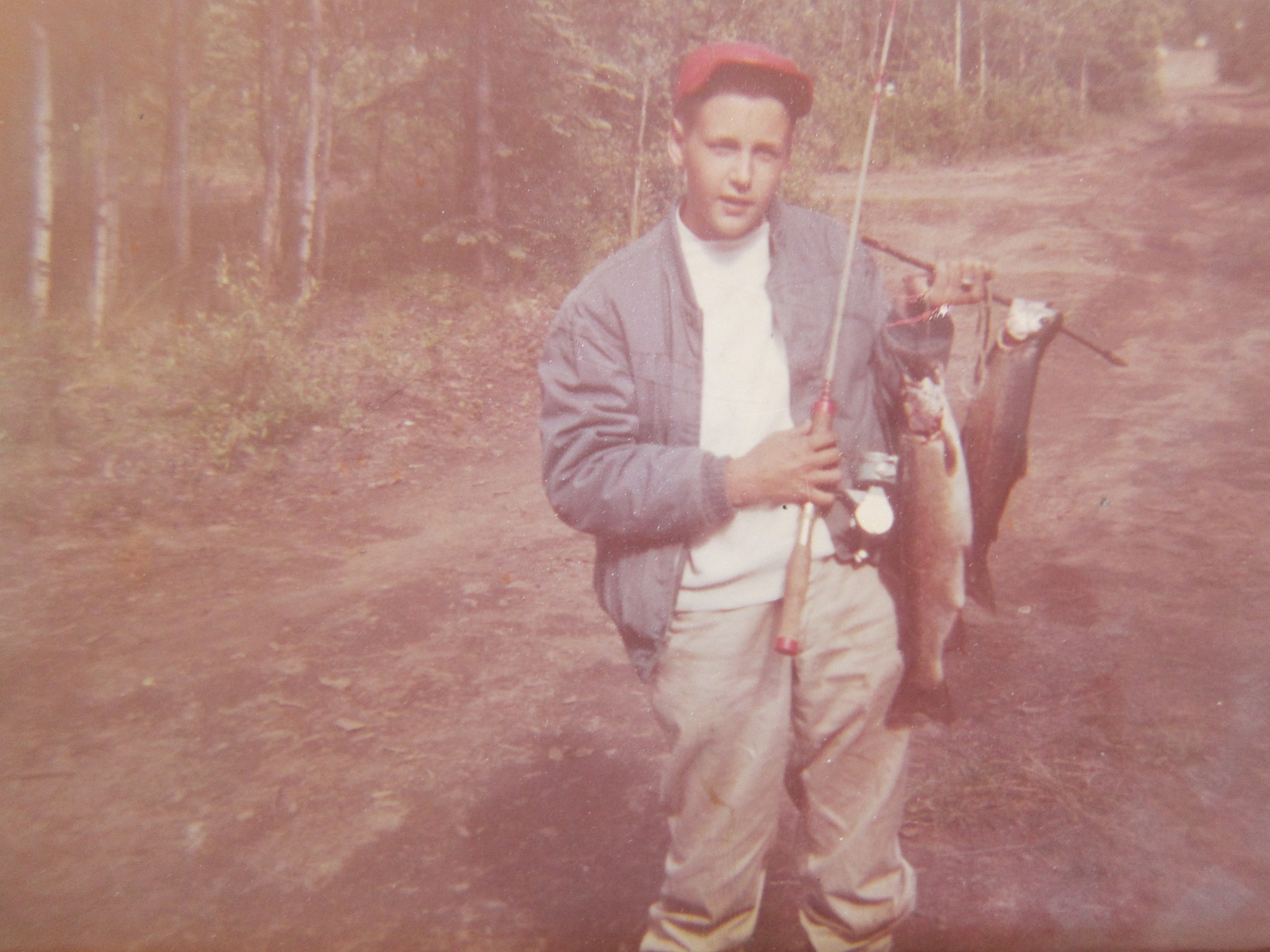shimano aldebaran mgl aldmgl50hg low-profile casting reel Baitcasting Color:Blue Fish Top Fin® Stone & making it perfect for Default Category/Terminal Tackle/Hooks/Treble Hooks/Extra-Fine Trebles