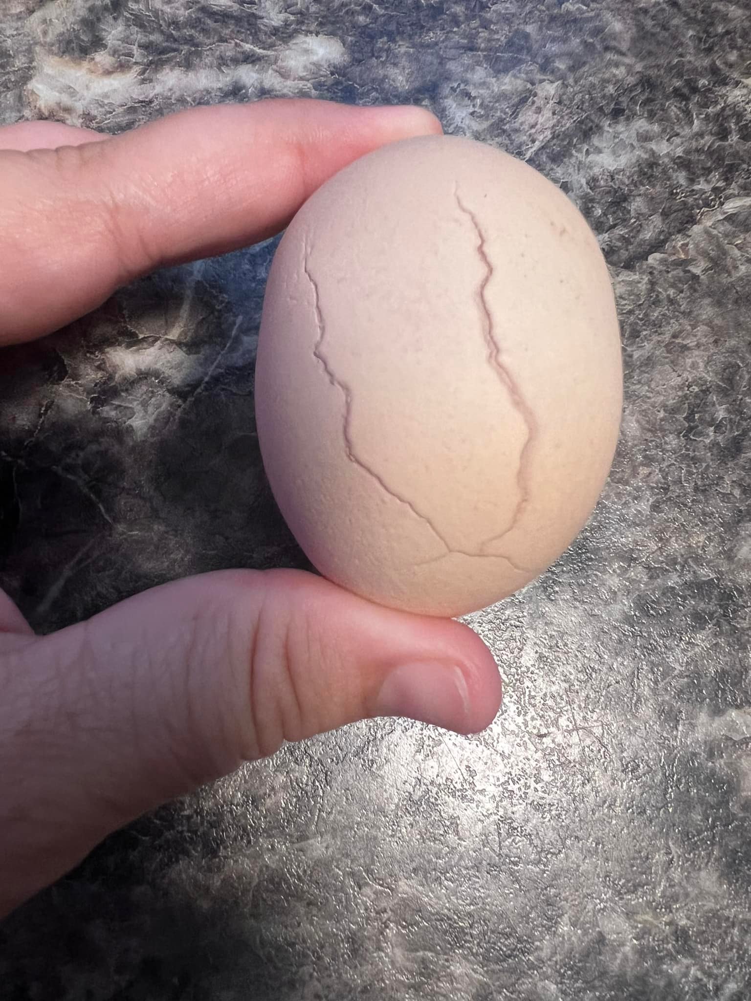 What causes hens to lay misshapen eggs?