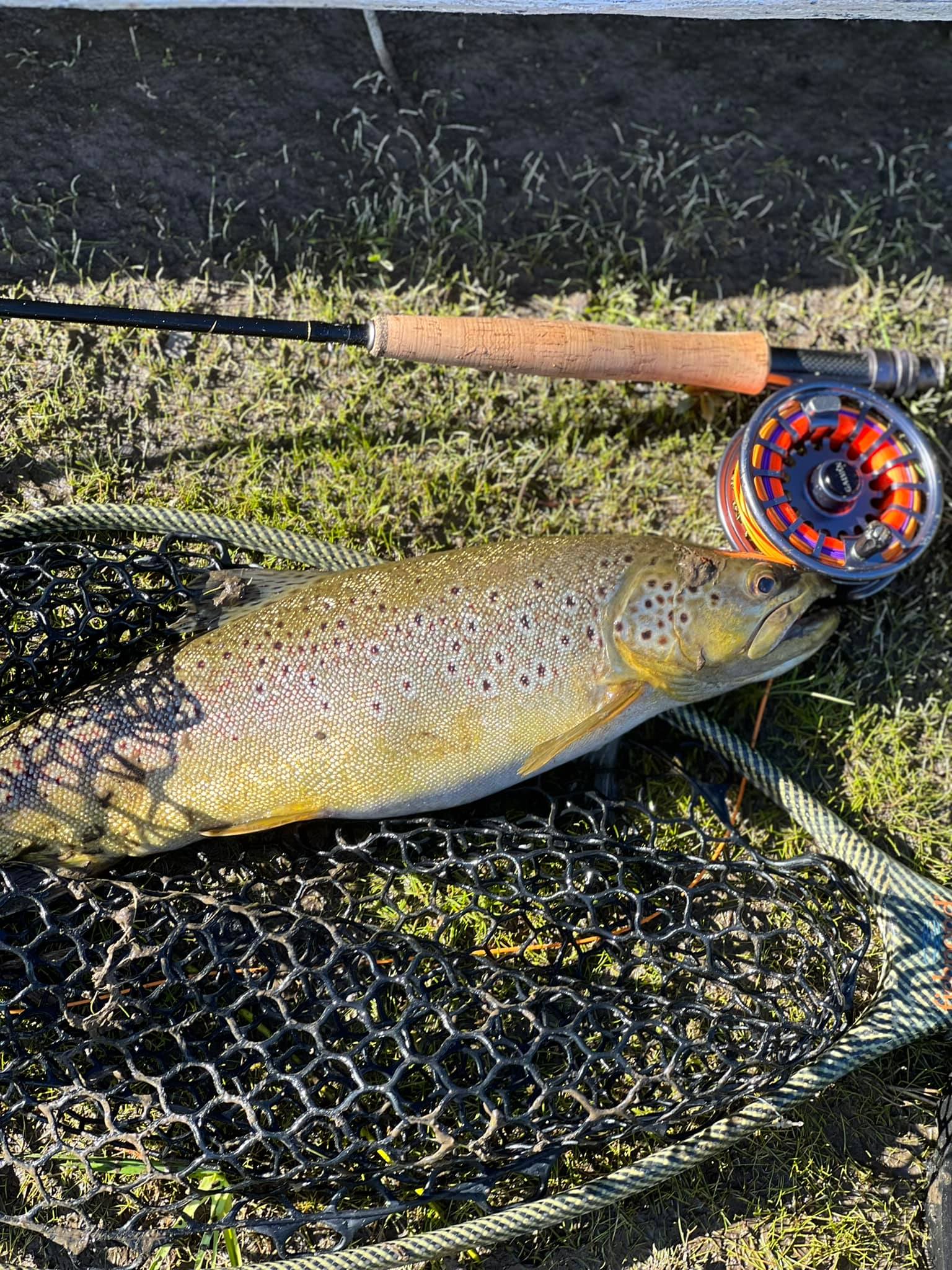 best fly reels from china Leland Reel Co. Vintage Sea Run Reel 7-8wt Model:Okeechobee Series 11' Fishing_Tackle Arghm Mini Ice Fishing