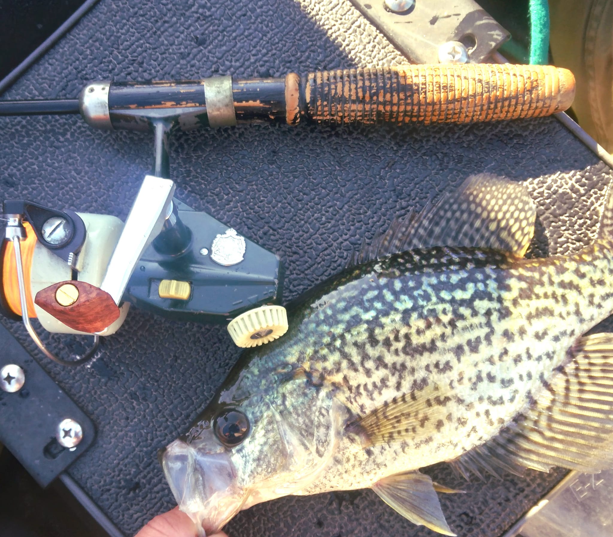 brass tubing for fishing lures Sculpin Tube Jigs Feature:IP67-Waterproof infused plastic Line Test:130# Peacock Bass Mystery Boxes