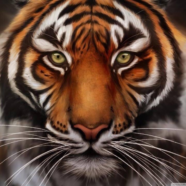 Cape Central High Memorial Group | Gregory K. Hafford | Facebook