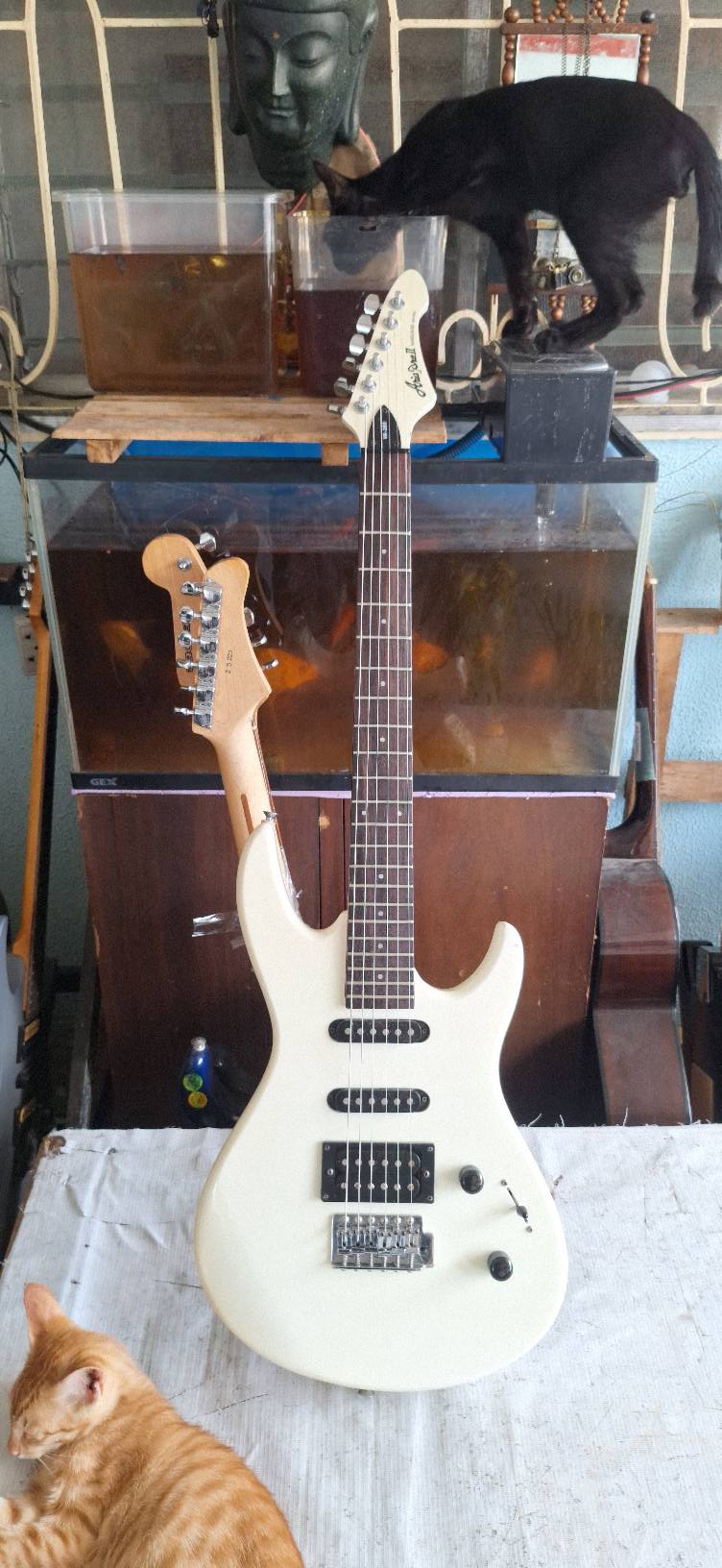 Vanguard series aria pro ベース 画像 Aria Proll AriaproII Vanguard