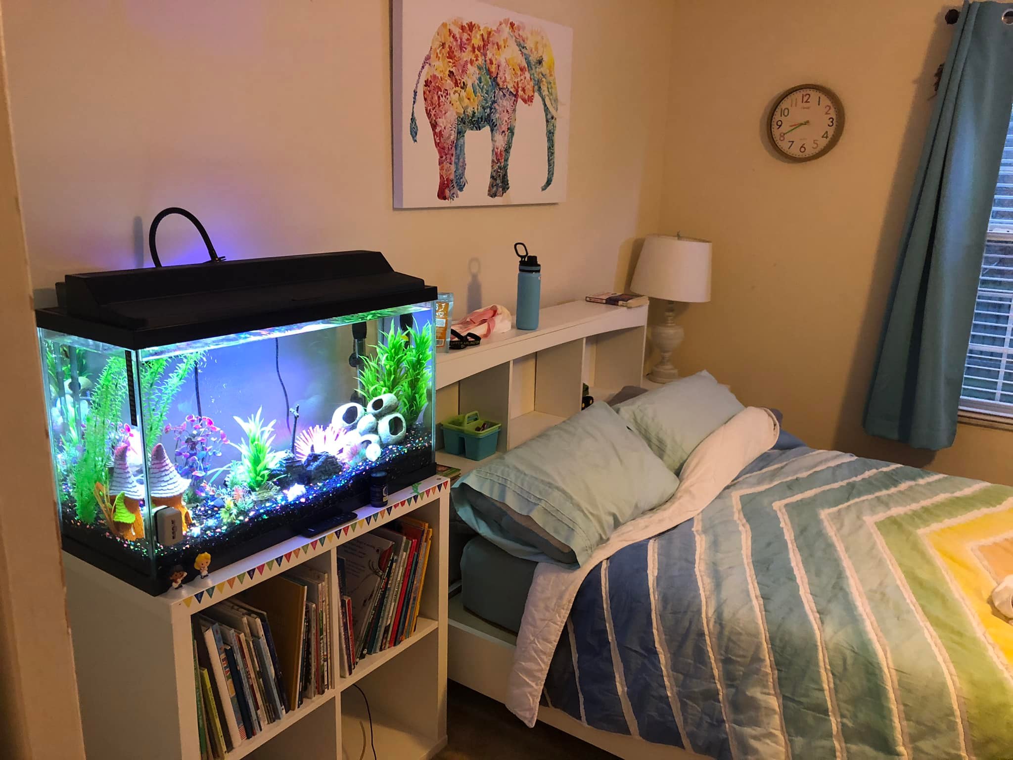 fish bedroom accessories Pike Bedding Set | Striped Bass Fishing Themed Duvet Cover for Kids & Teens How to rearrange a kid's
