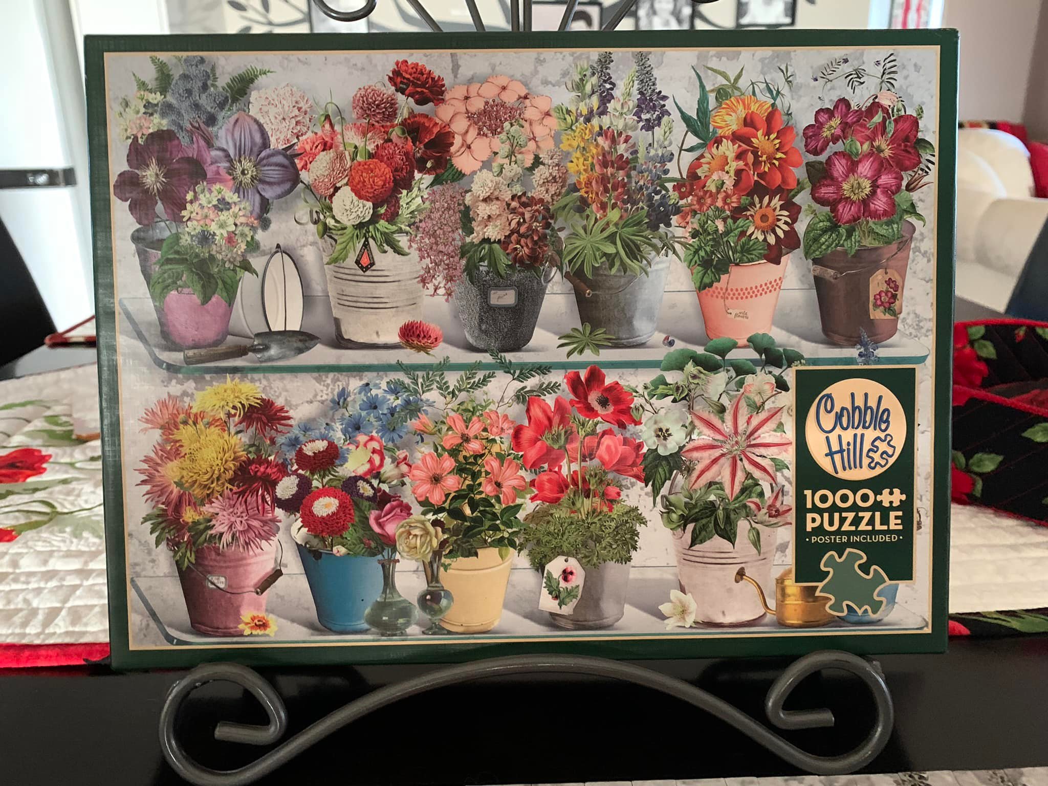 Cobble Hill 1000 Piece Puzzle – 'Onde' With Poster – Fun, Eco-Friendly & Made In USA