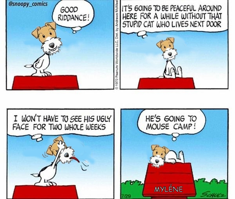Wire Fox Snoopy Cartoons | Tuesday, October 7, 2025 - **WIRE FOX Snoopy ...