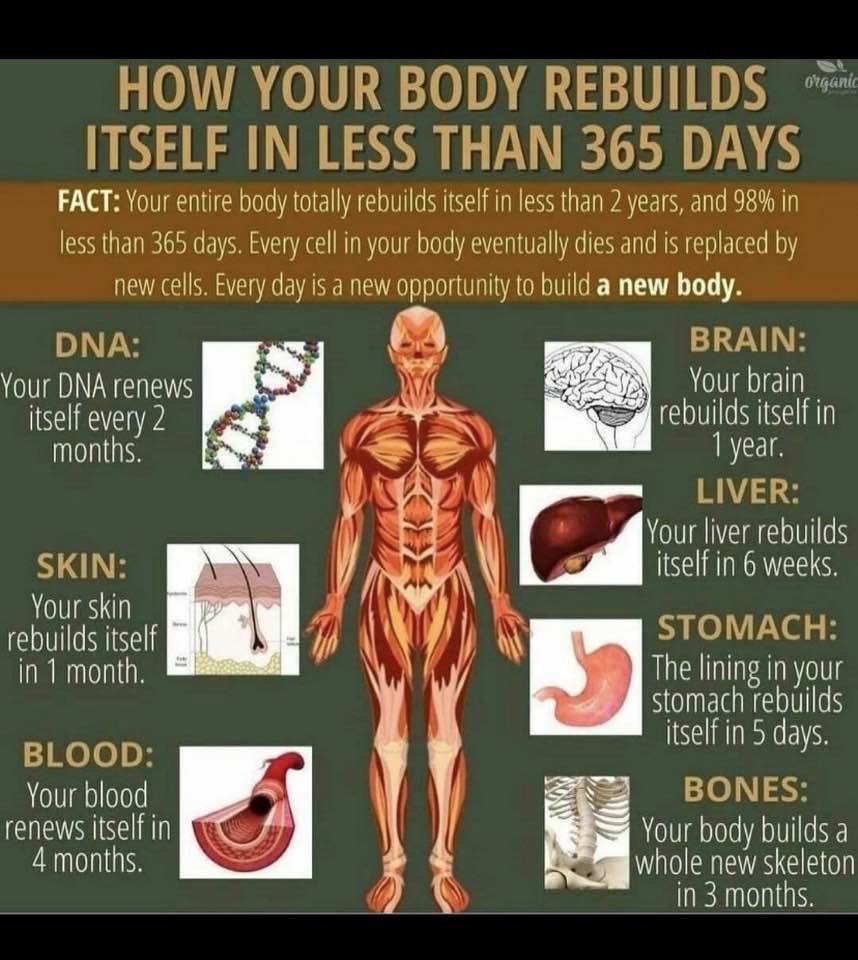 Health & Habits To Better Your Life | Mosheim TN