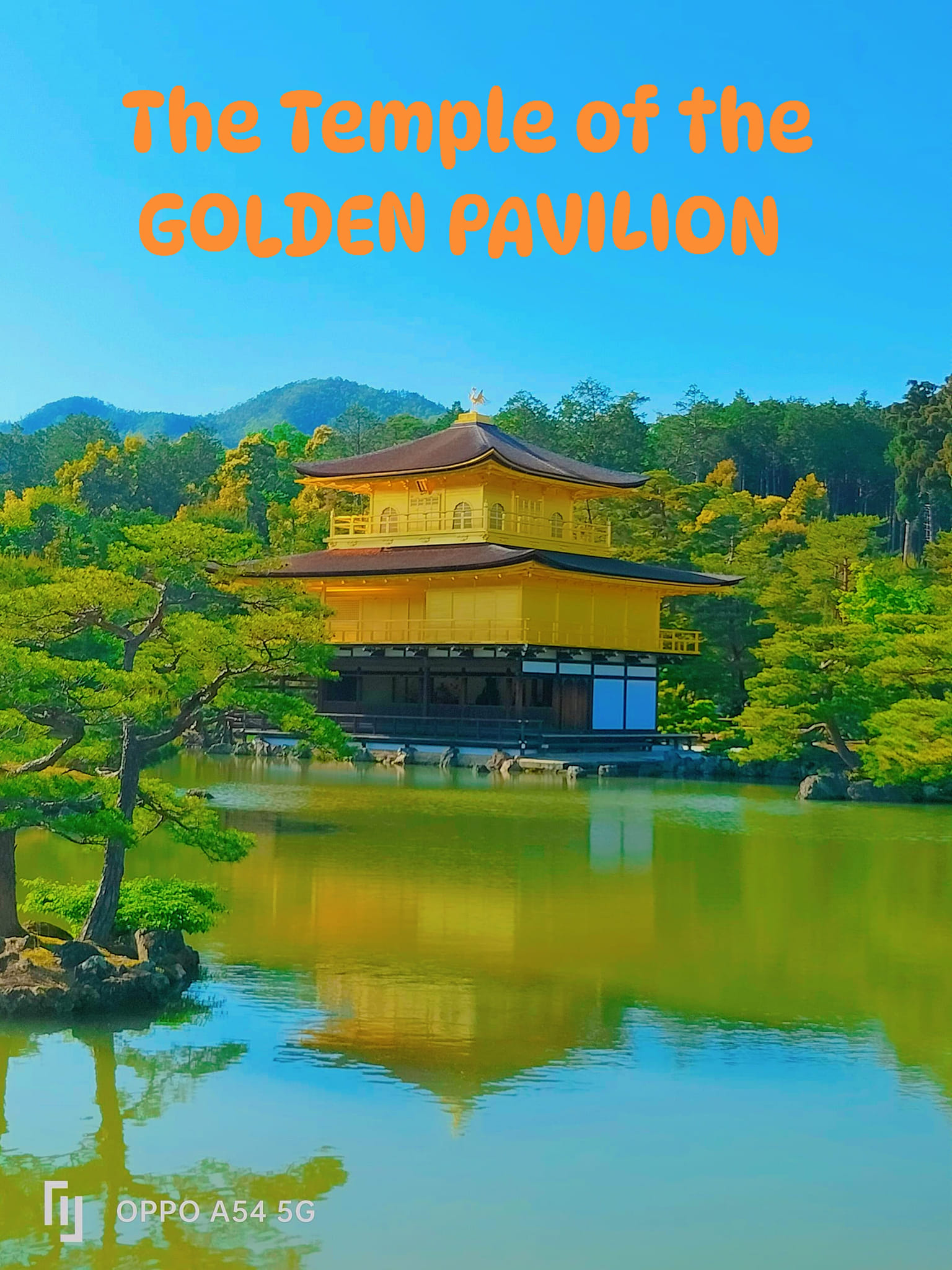 Yukio Mishima's The Temple of the Golden Pavilion novel review