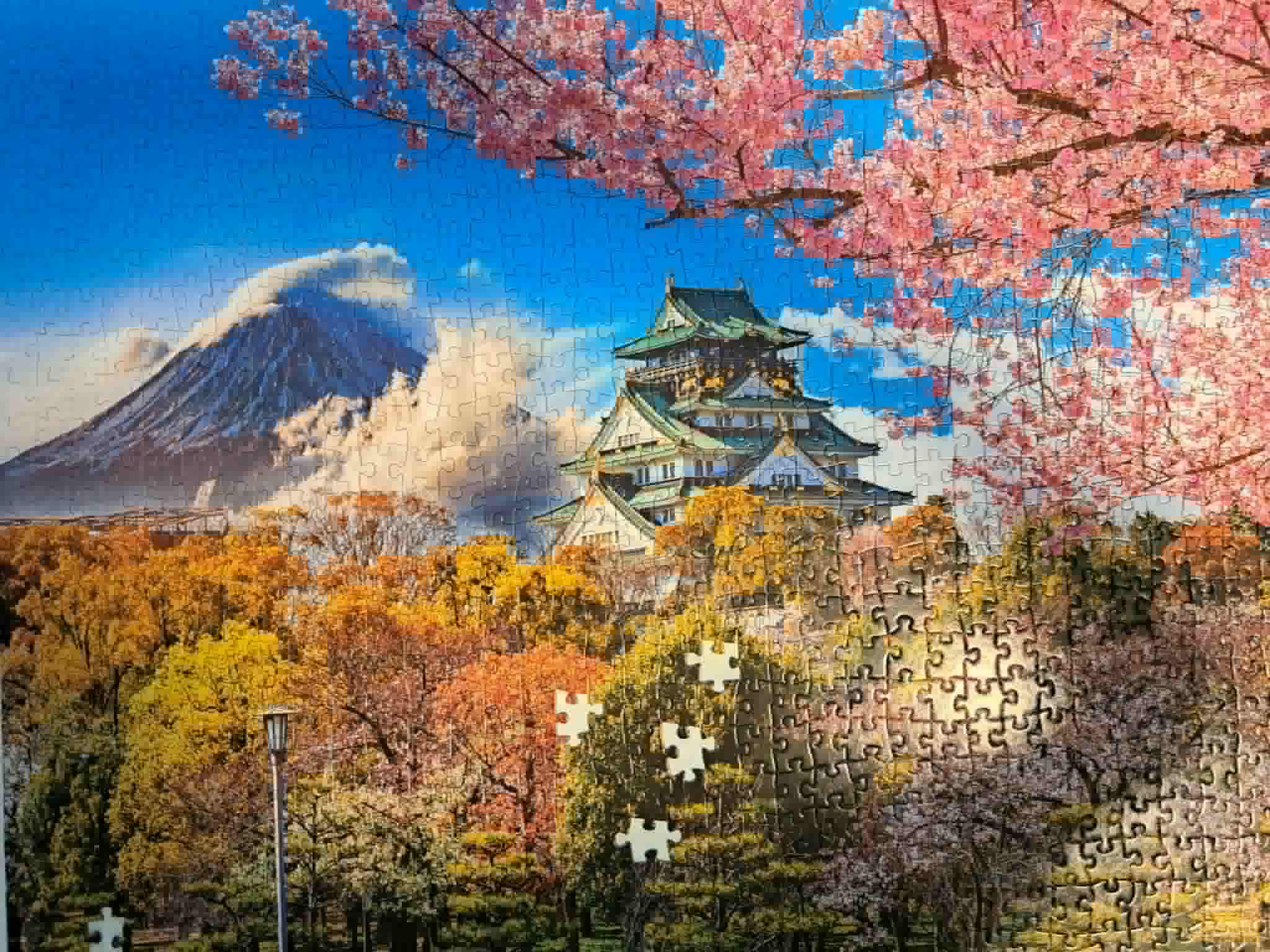 Cherry blossoms 1000-piece puzzle completed
