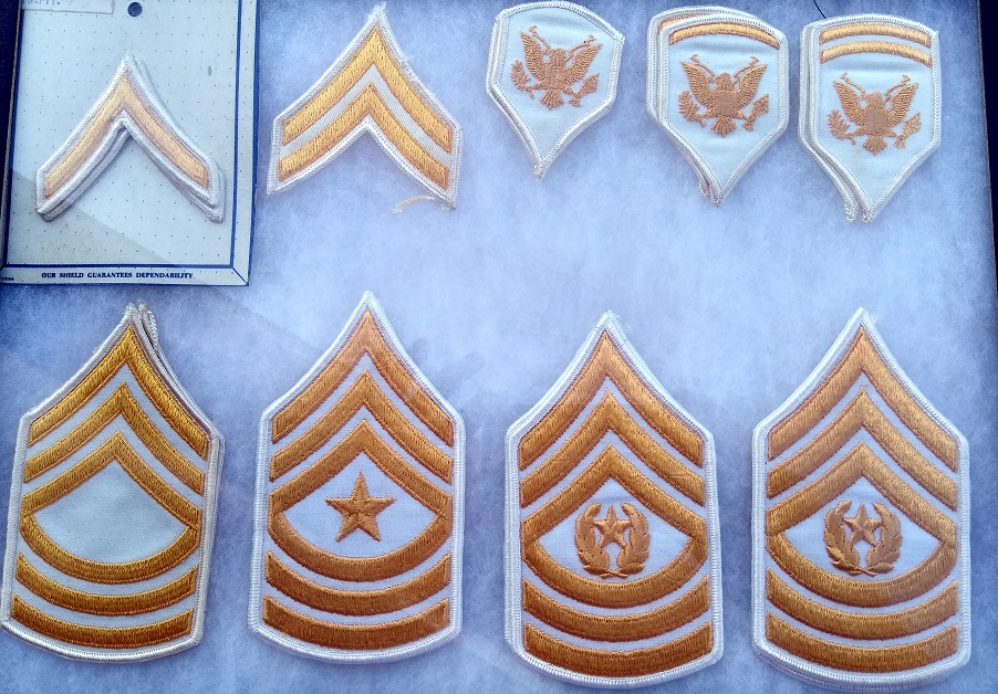 dress whites and gold wings meaning How long were yellow on white stripes used in military uniforms? DETACHABLE-SCARF