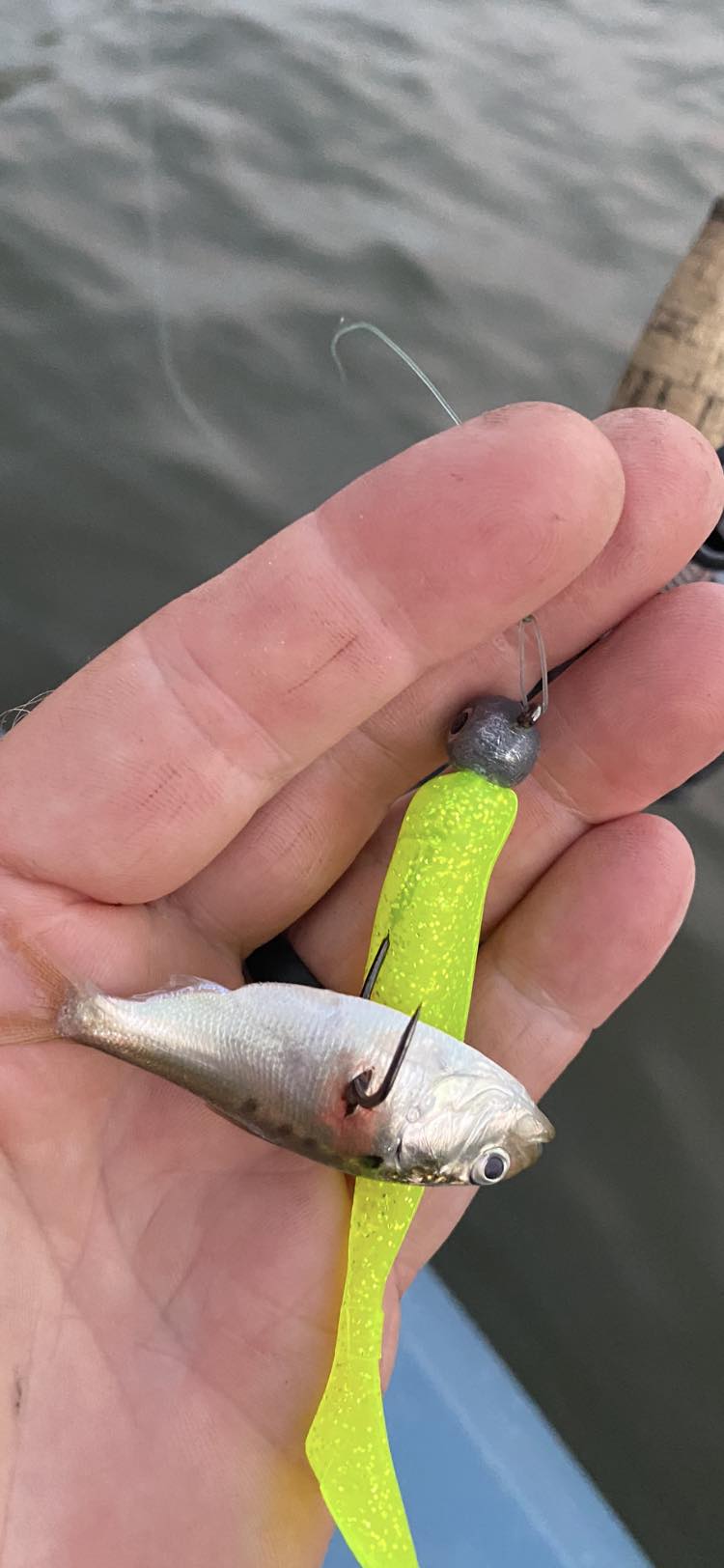 avintage fishing lure fat fish pink with glitter Cow Finesse Fat Shad 5" Soft Plastic Bone This 4.5 shad is large enough to entice bigger bass GLITTER LURE FOR G!! This