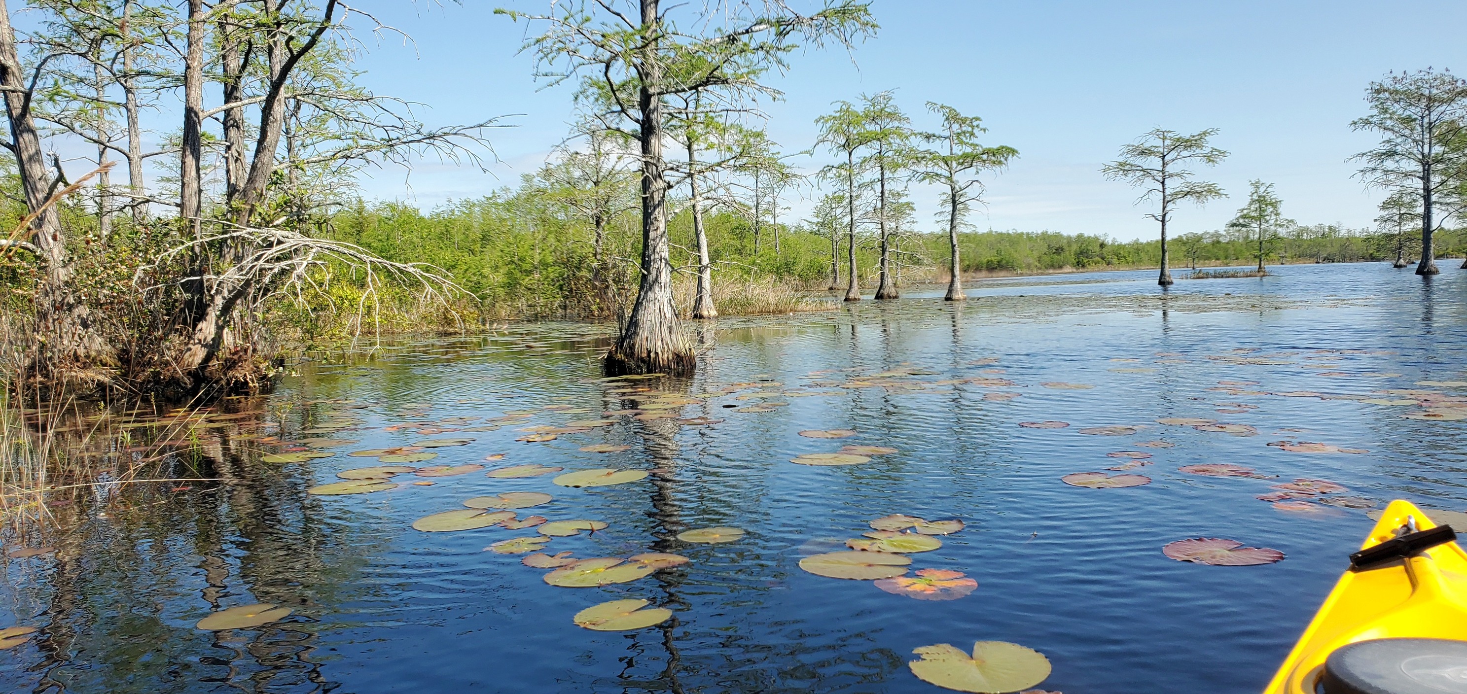 Onslow County Adventure Club | Facebook