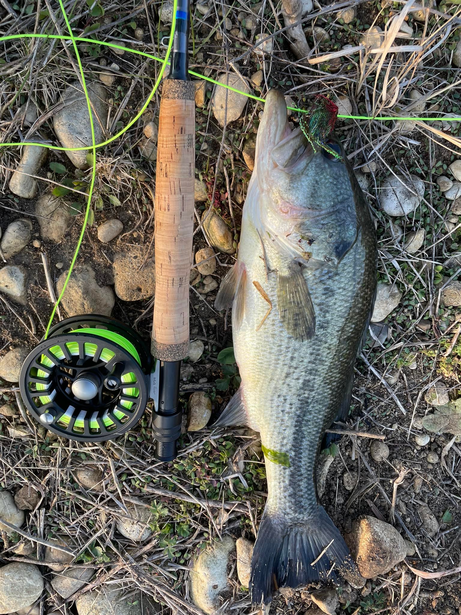 adidas create plus backpack Creator School 21L Color:Bama Craw Spinning Reel Combo Best The adidas Lineage Backpack tec_GRD_TAPERTEC